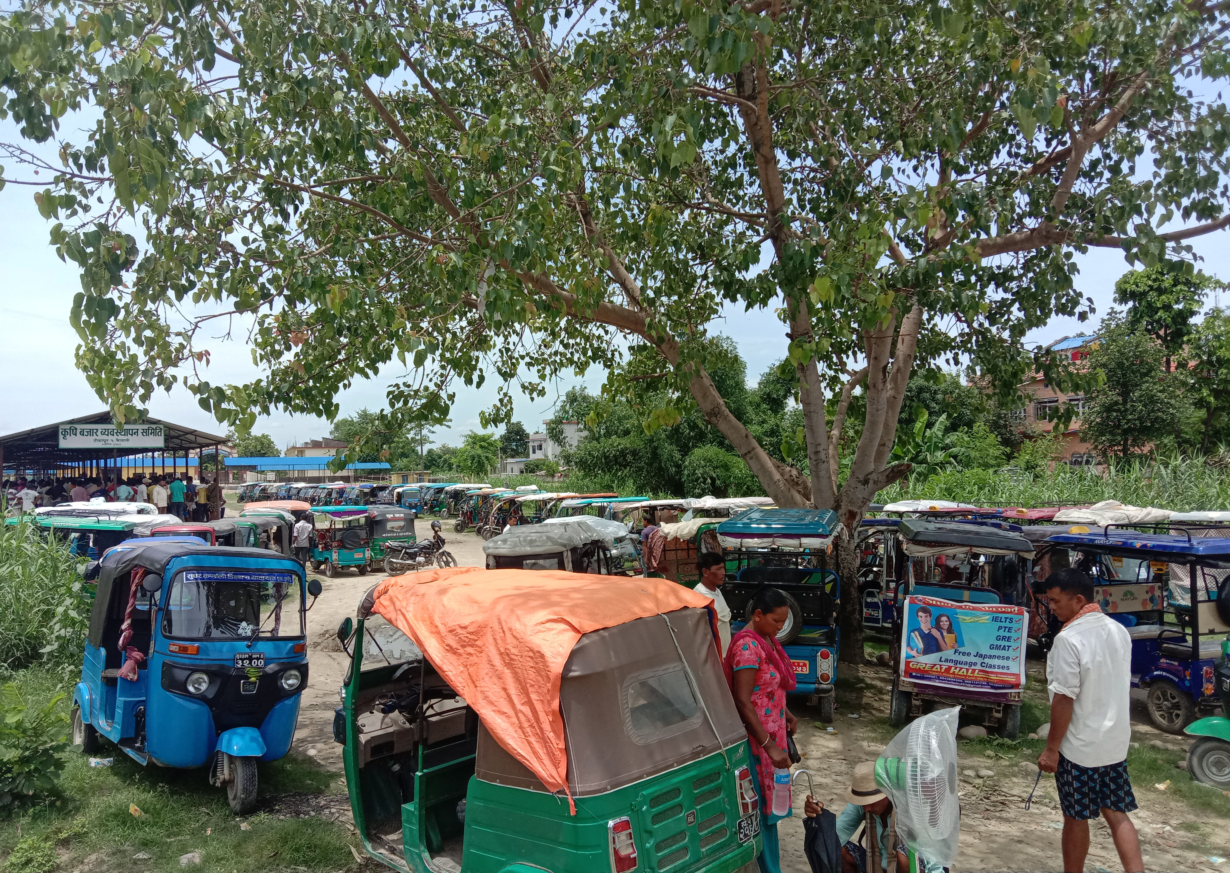 पार्किङमा राखिएका अटो रिक्सा