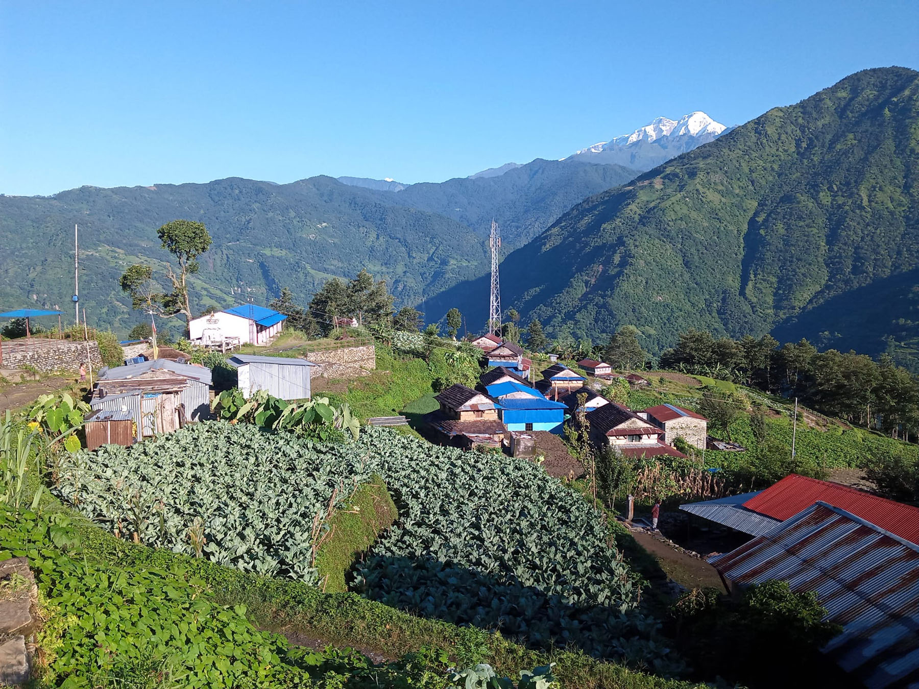 भुस्मे घरवास