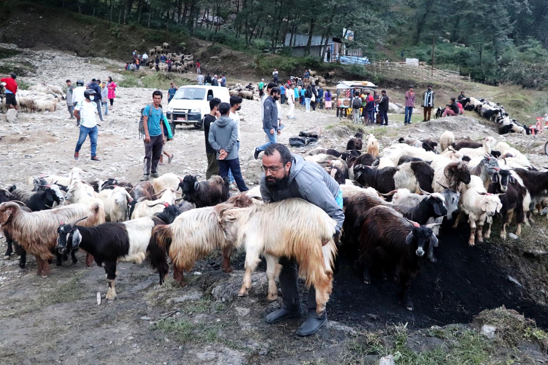 च्याङग्रा छान्दै ग्राहक