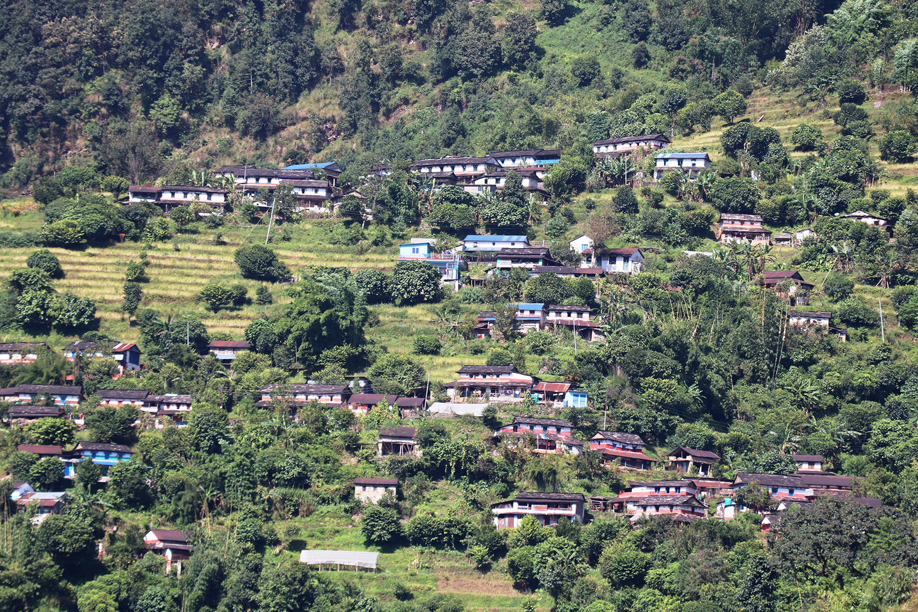 एकै नासका घरहरु
