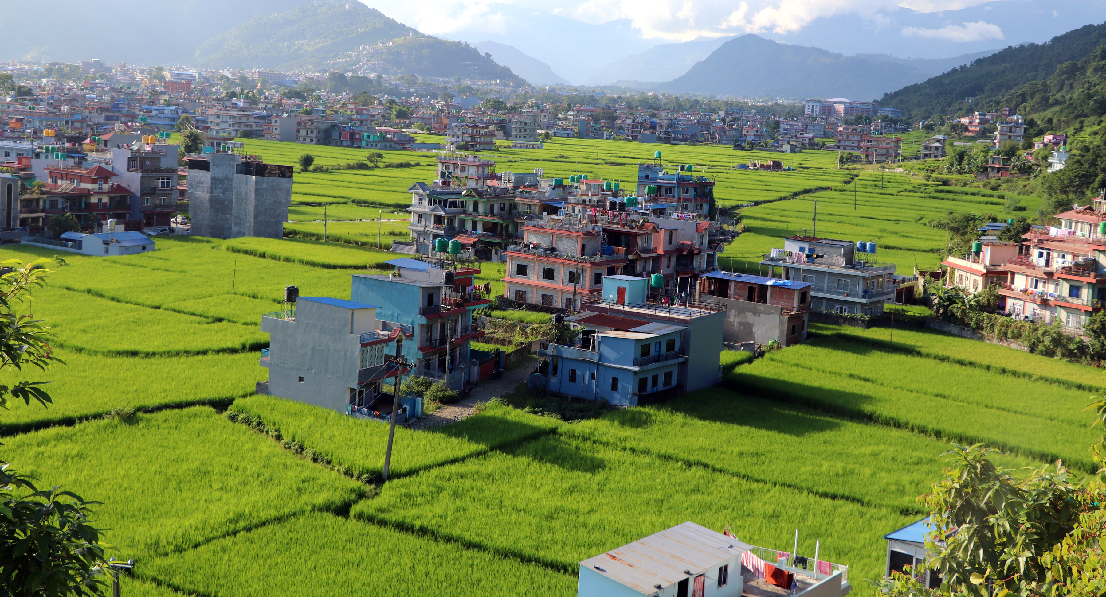 खेतीयोग्य जमिनमा घनाबस्ती