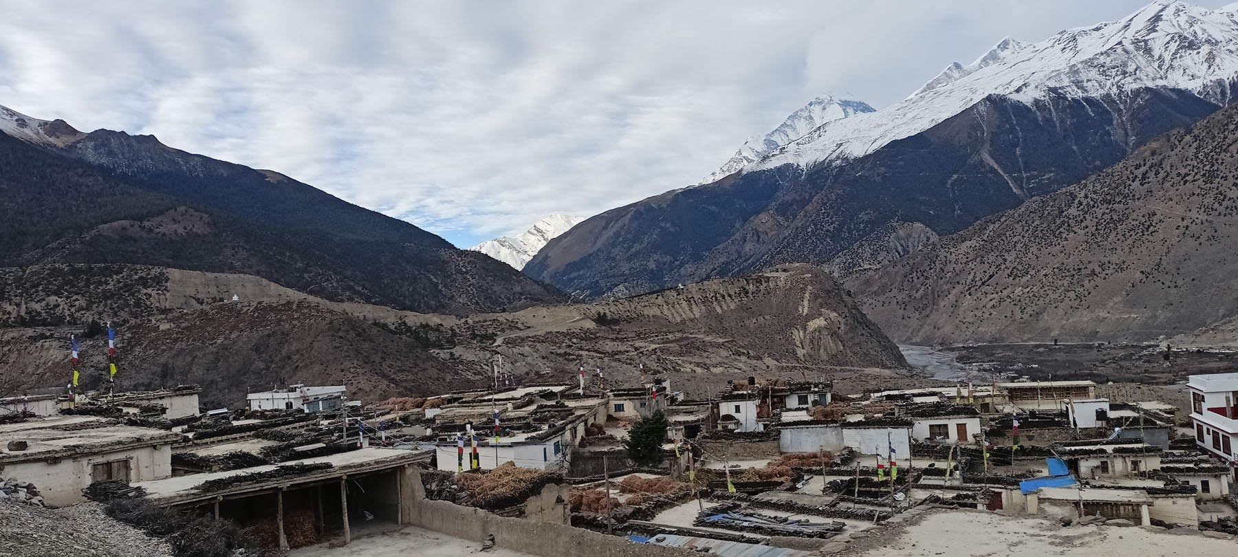ठिनी गाउँ