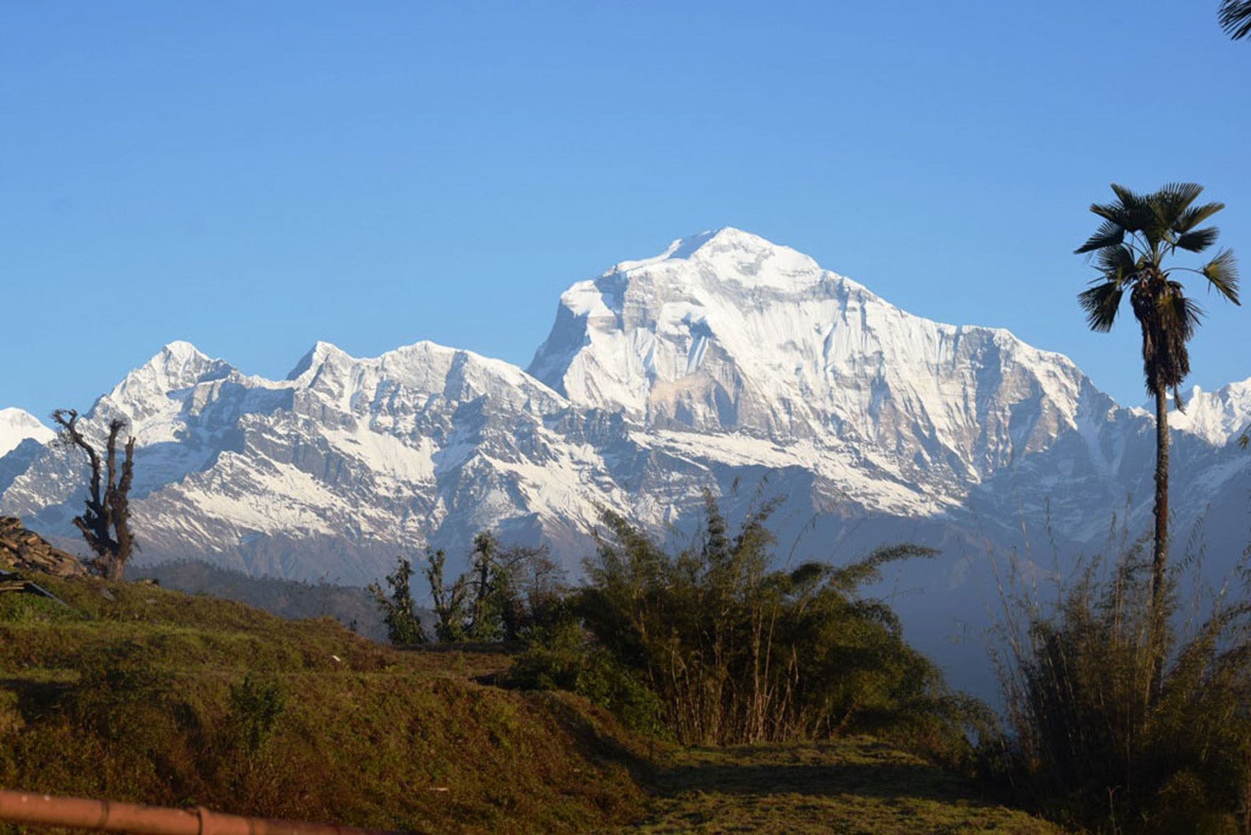 खुलेको धौलागिरी हिमाल