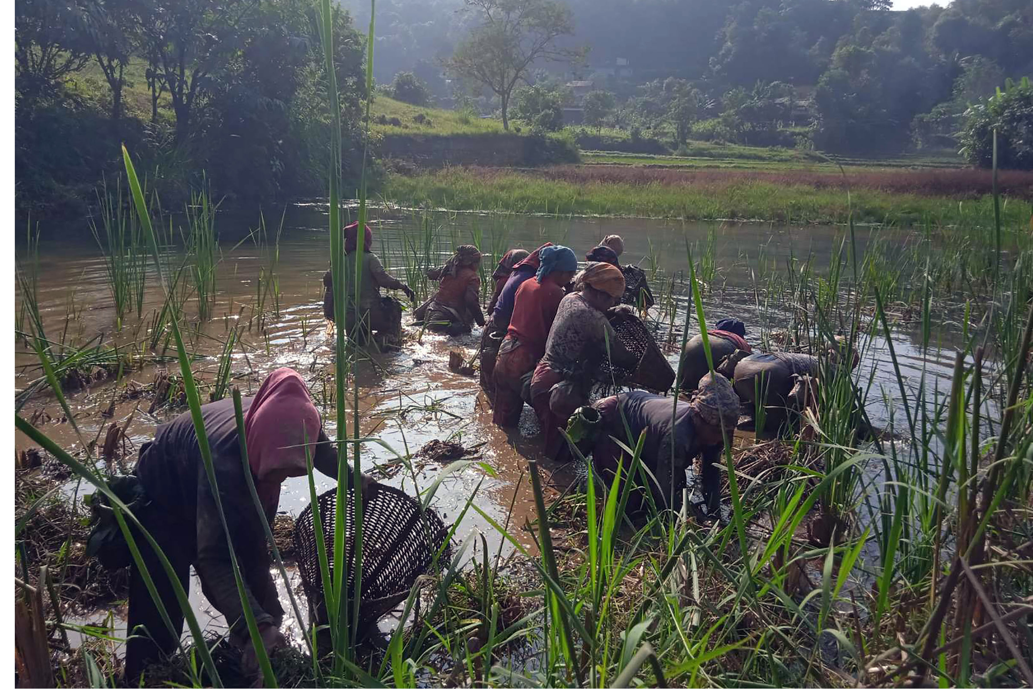 माछा मार्दै