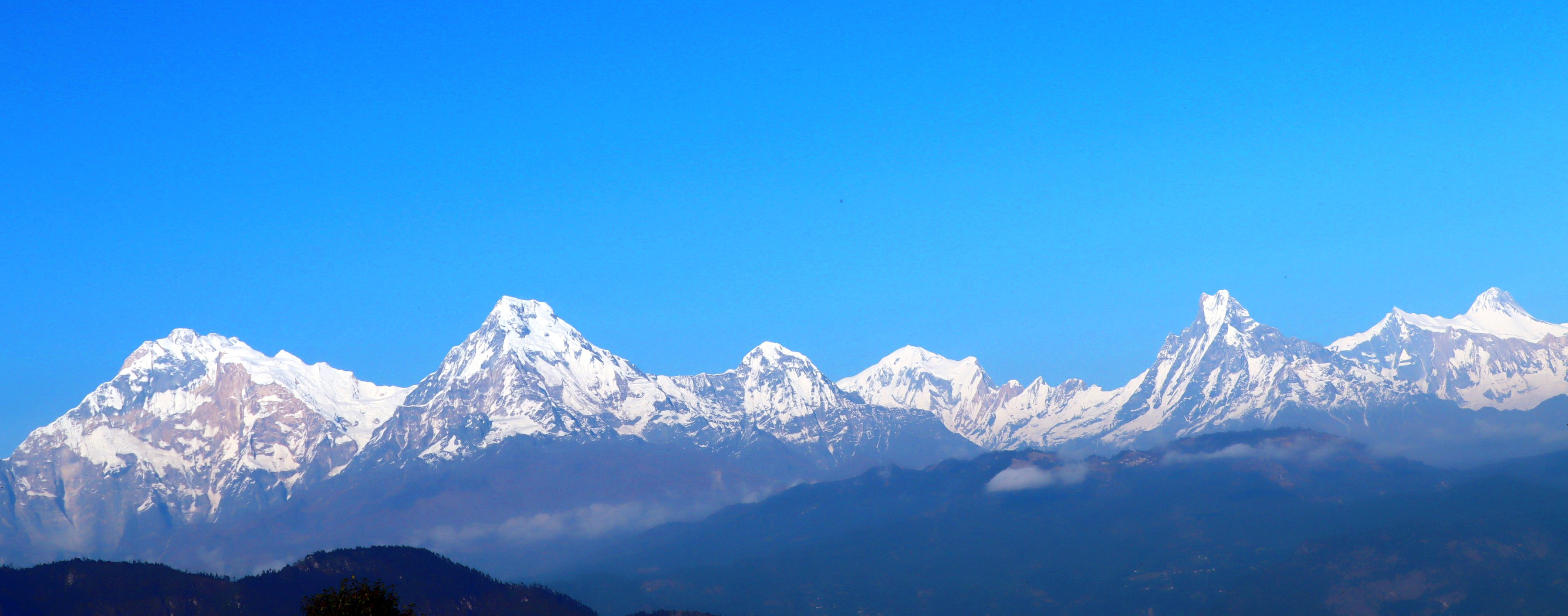 हिमश्रृङ्खला