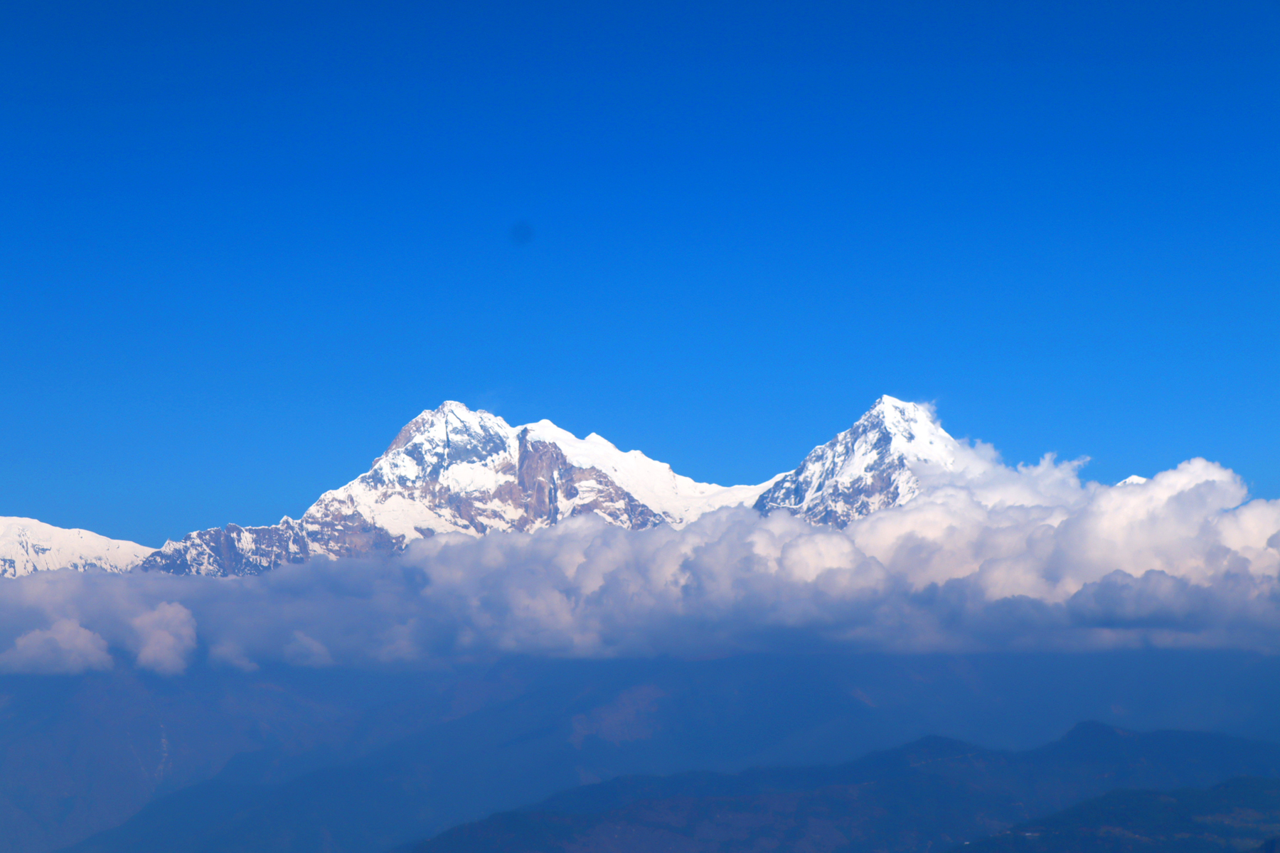 अन्नपूर्ण हिमाल