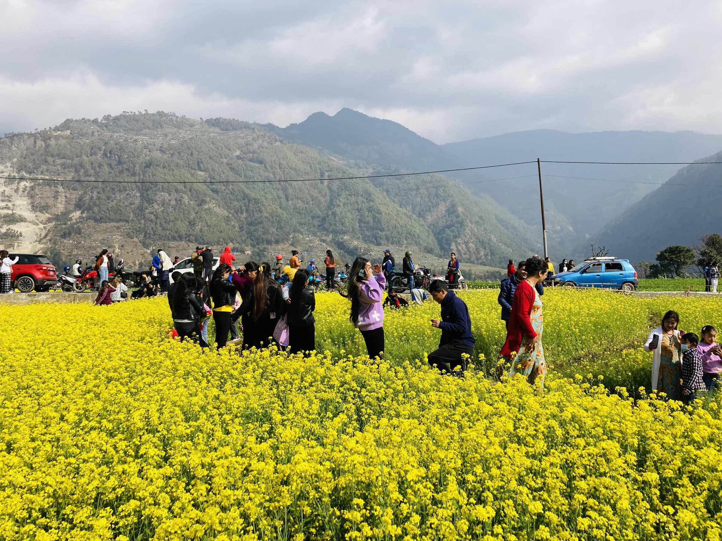 भाइरल तोरीबारीमा पर्यटकको भिड, आजबाट प्रहरी परिचालन