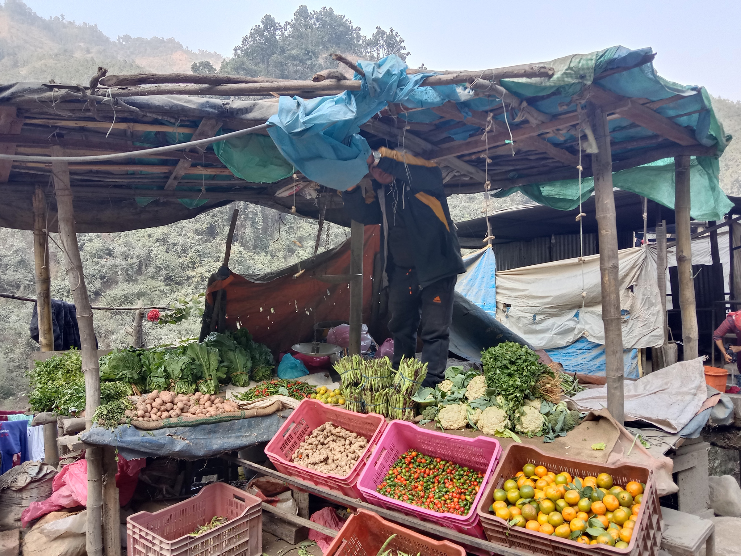 तरकारीका बसेका युवा