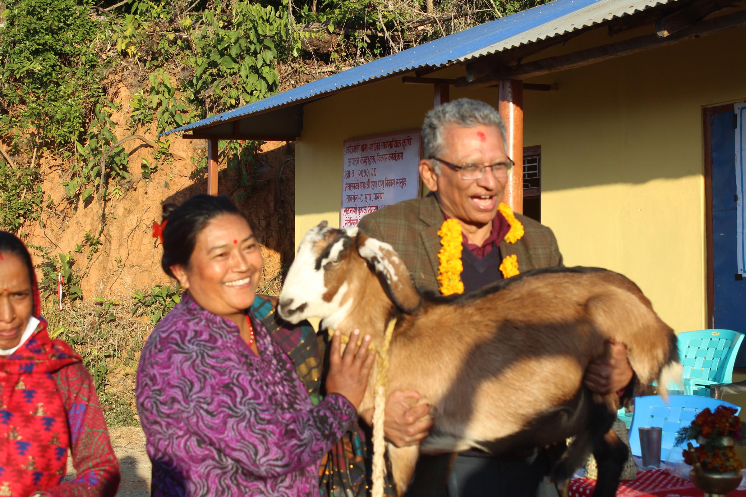 बाख्रा वितरण गर्दै नगर प्रमुख