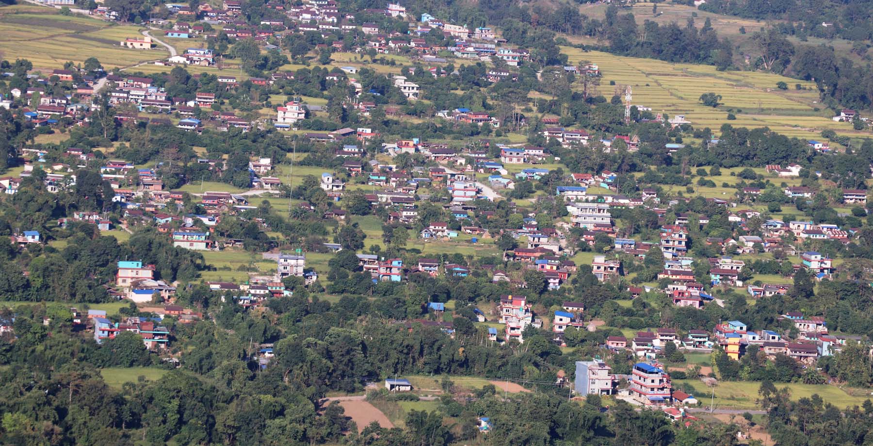 तीव्र रुपमा बस्ती विकास