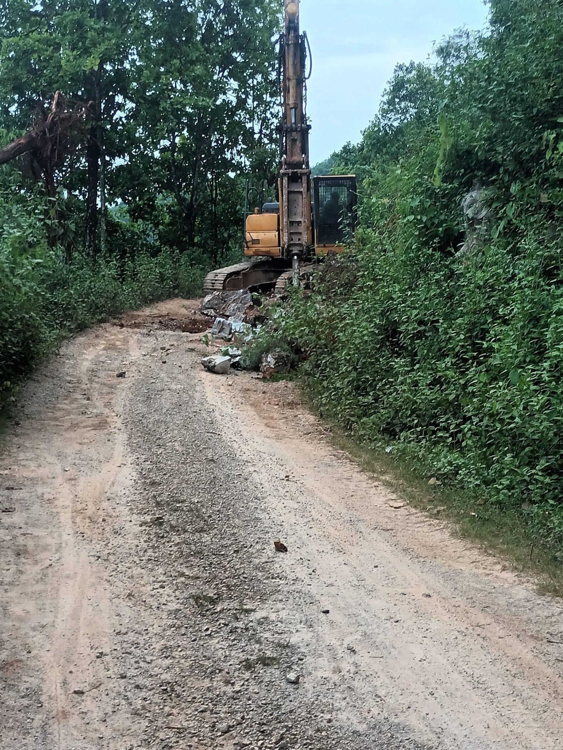 सडक बिस्तार