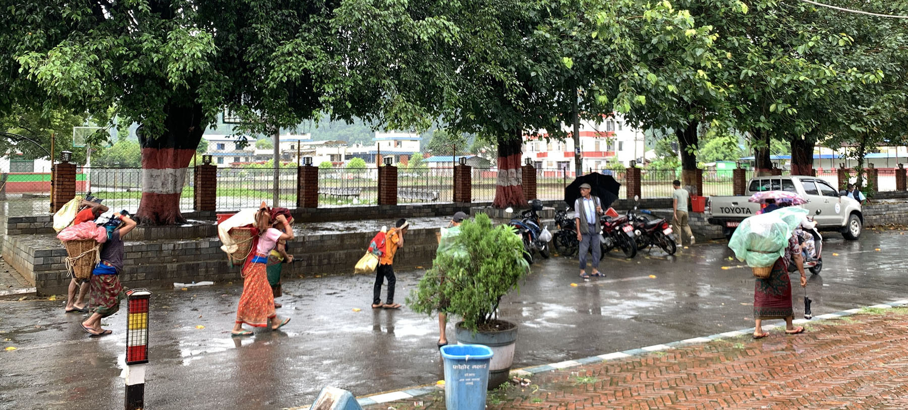 डोकामा तरकारी ल्याउँदै