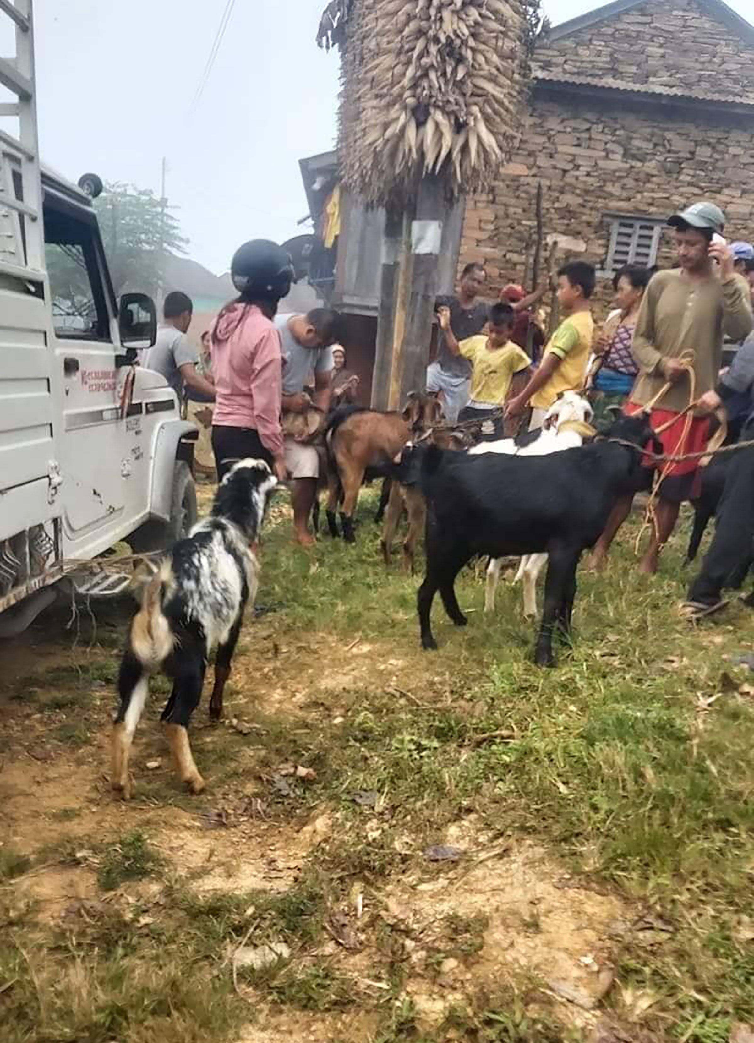 खसीबोका विक्री