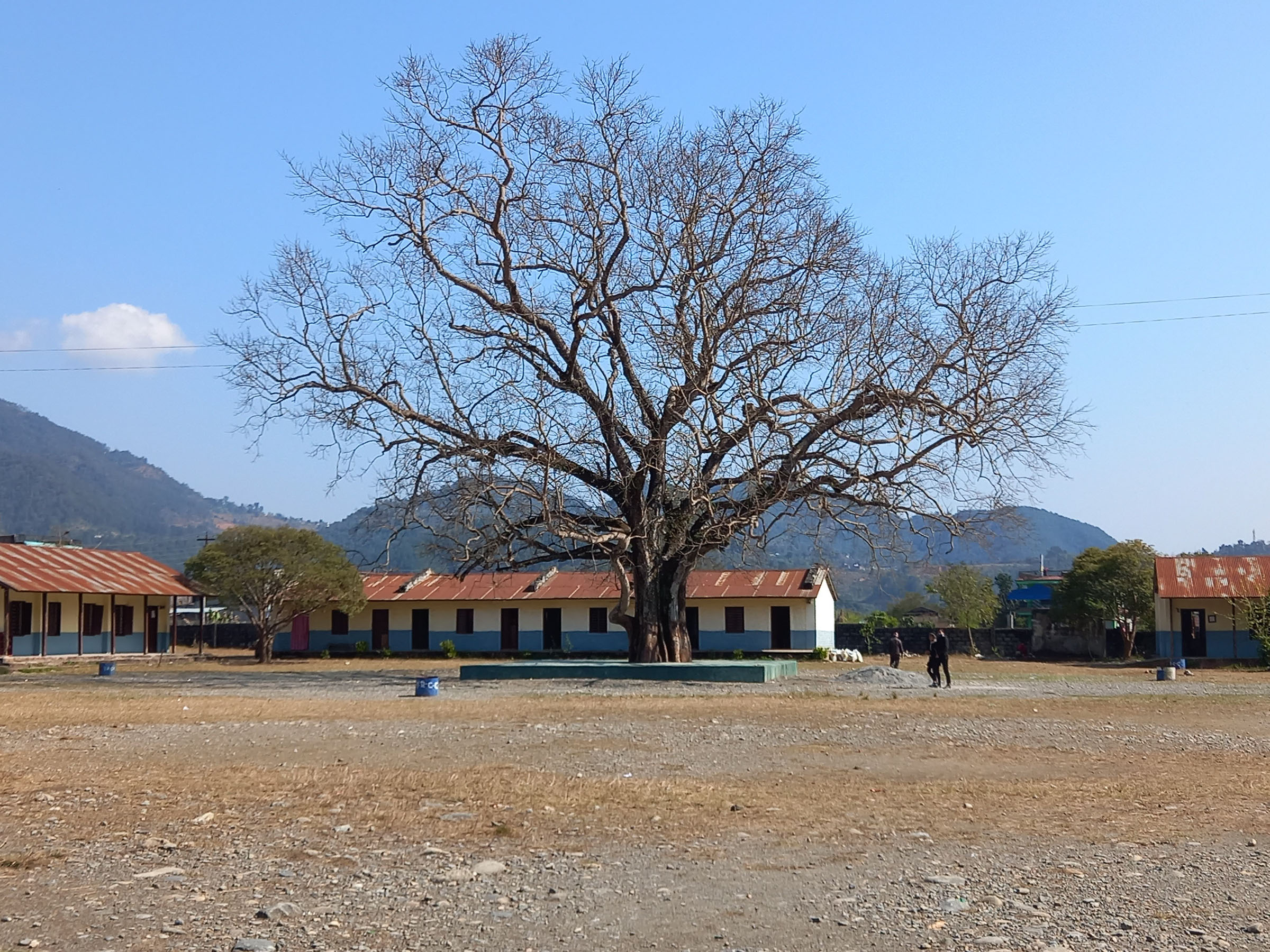 पिपल चौतारा