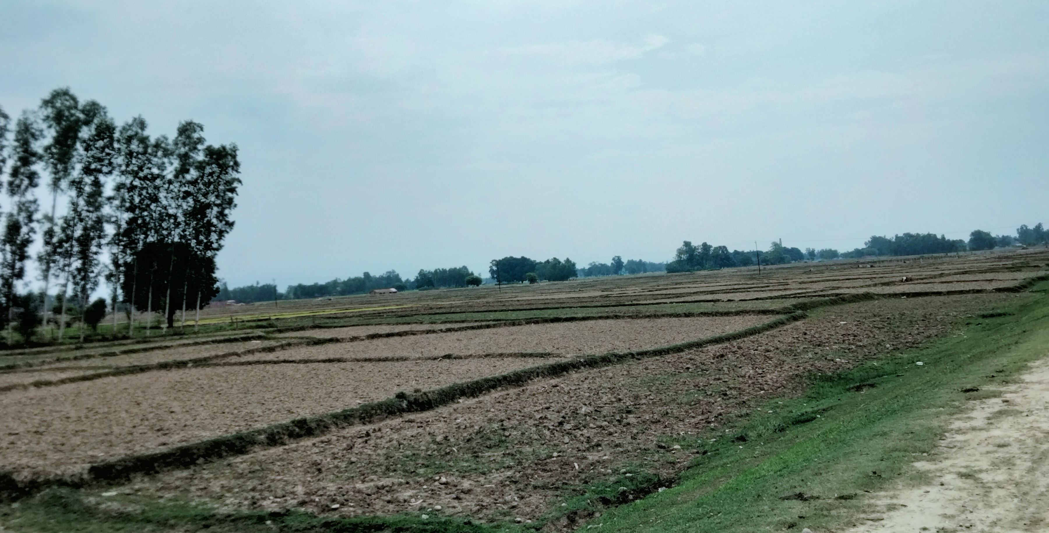 वर्षा नभएपछि जमिन बाँझै