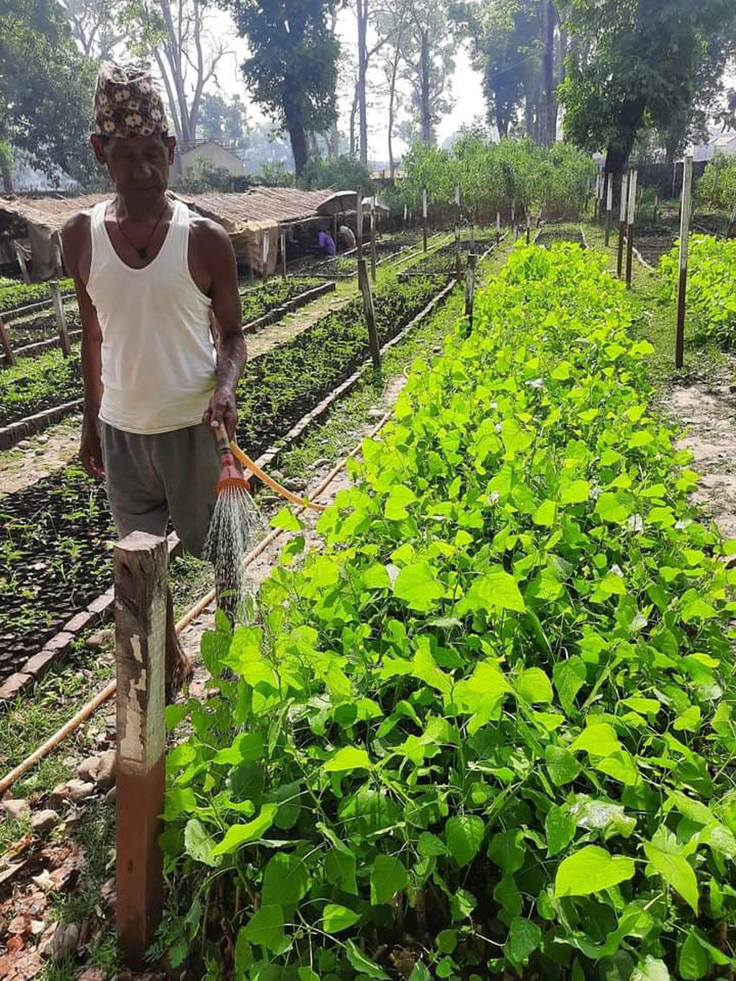 बेर्नामा सिँचाई