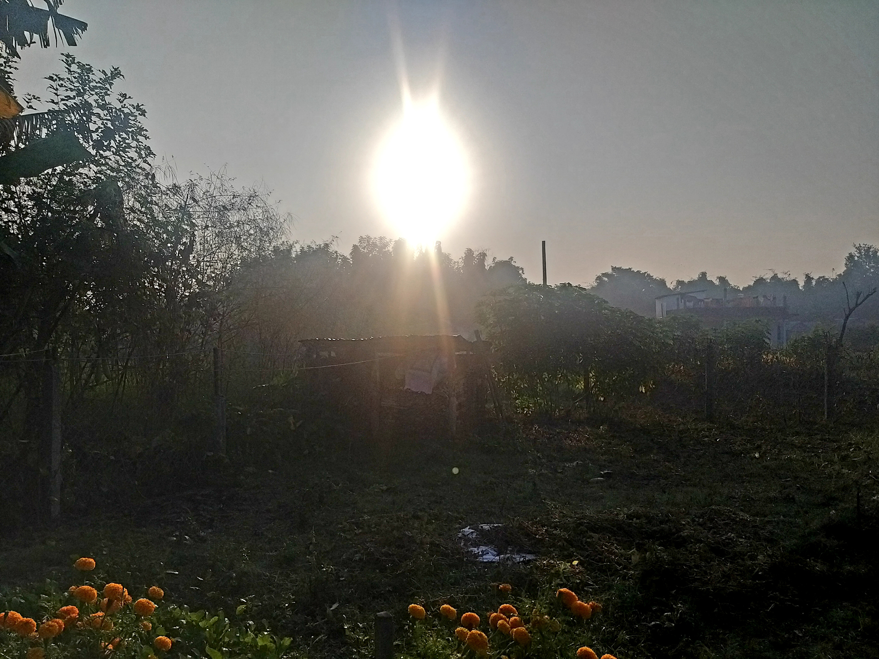 सूर्योदय