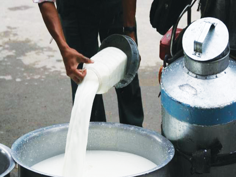 रसायन अभावपछि आयोजना बन्द : किसानको दूध गयो खेर