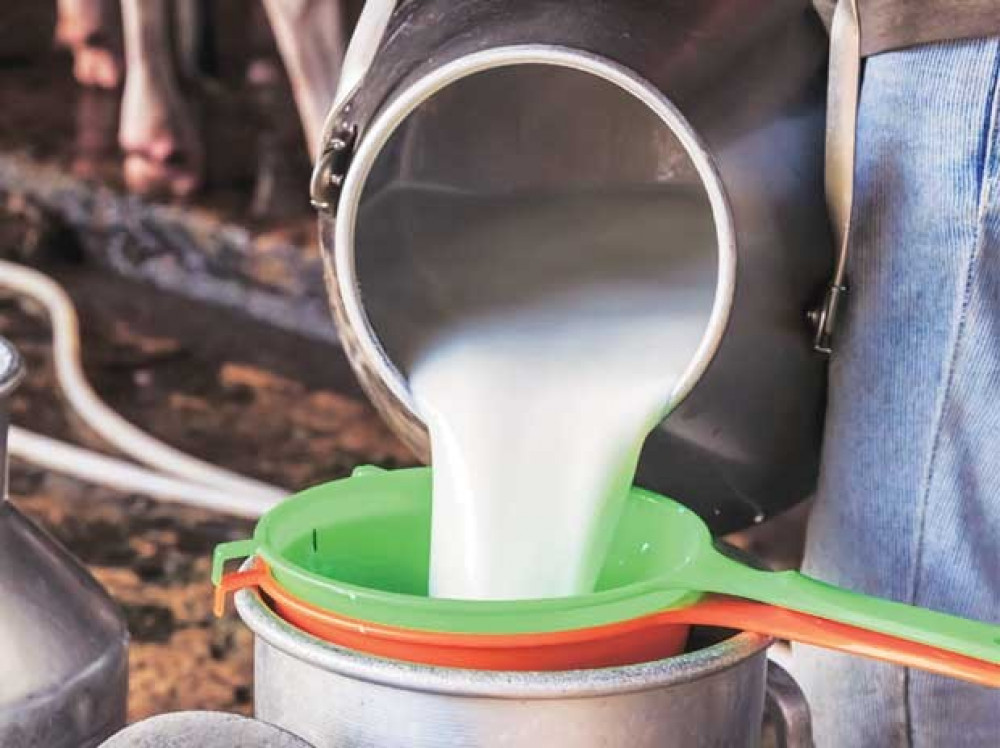 दूध नबिक्दा किसानको दैनिक १३ लाखको क्षति