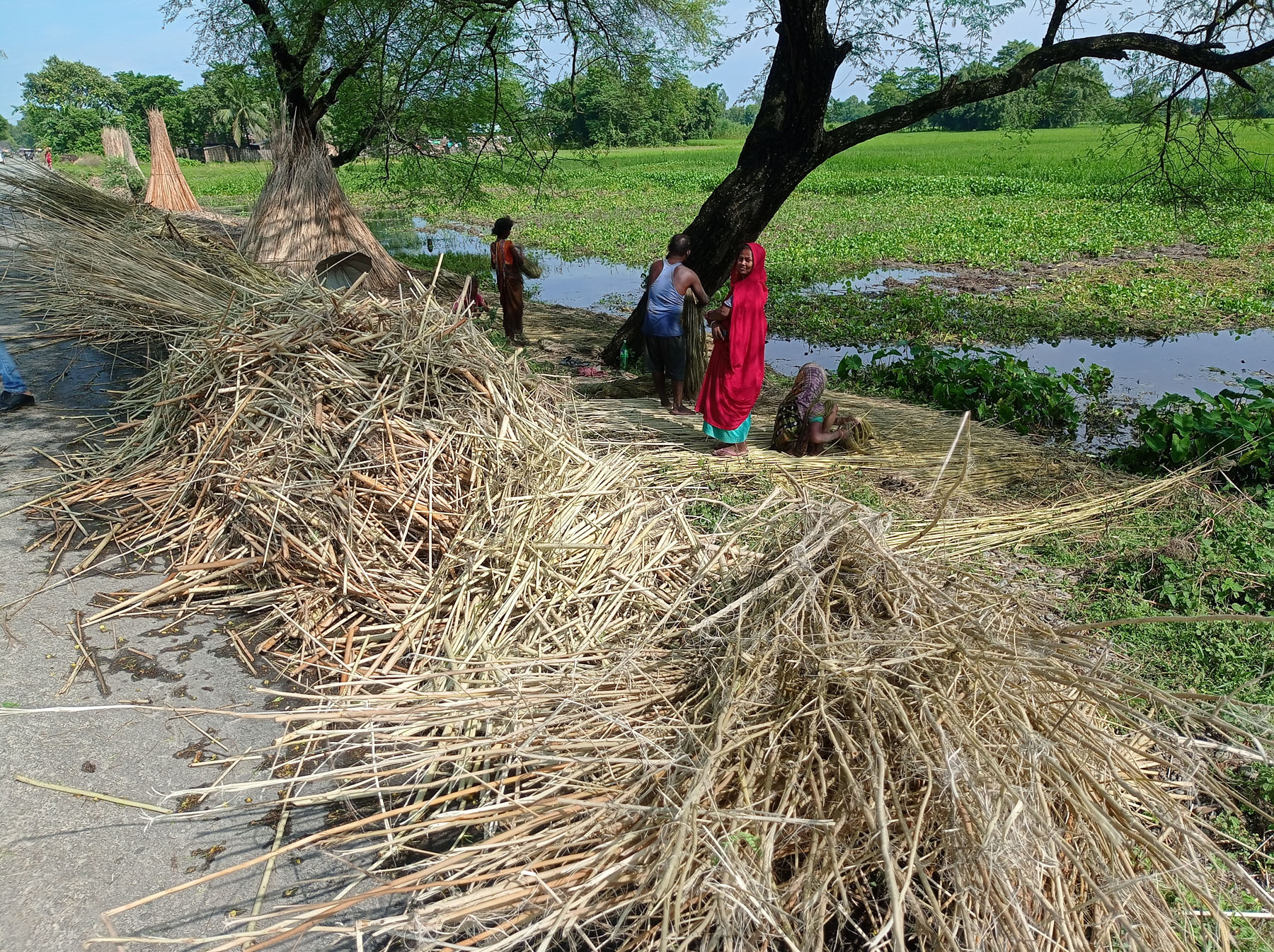 जुट केलाएर निकालिएकाे सन्ठी