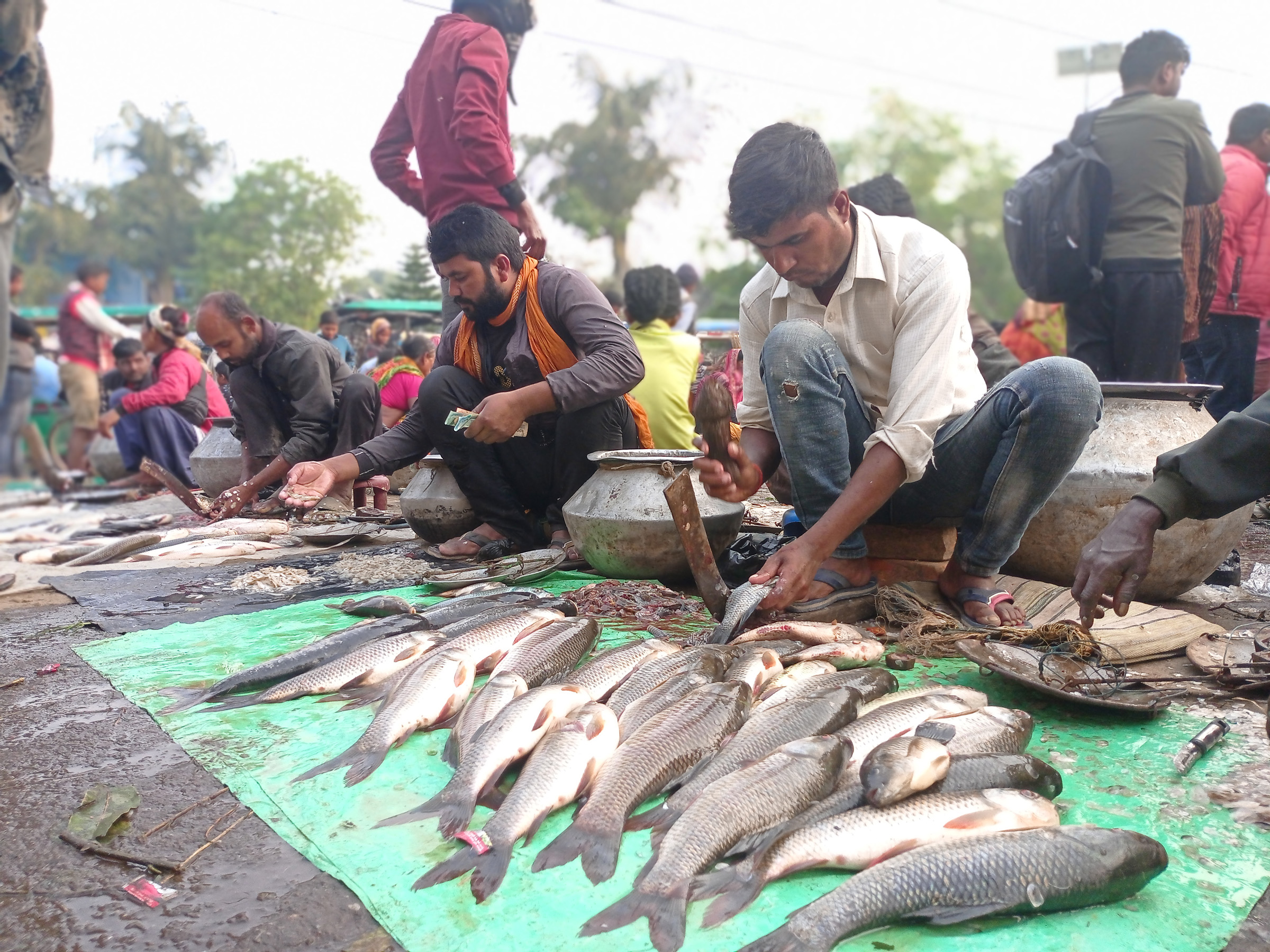 माछा बेच्दै व्यापारी
