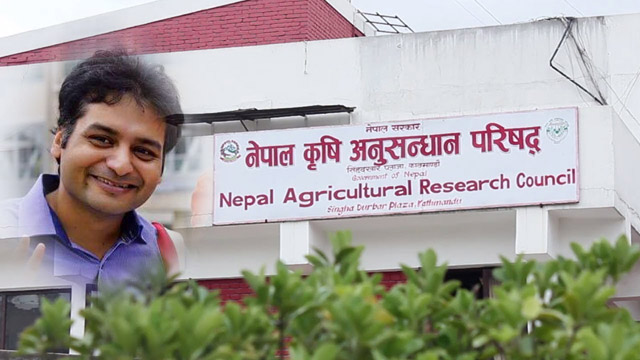 नार्कका अटेरी वैज्ञानिक, तलव खुवाउन नक्कली काज