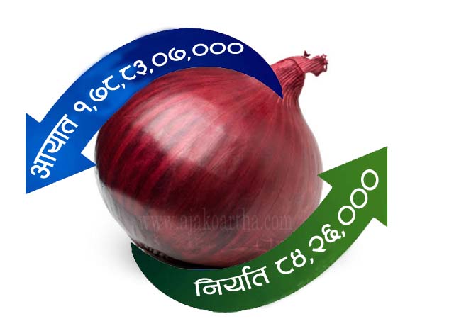 भाउ बढेको प्याजको हिसाब : पाँच महिनामा ८४ लाखको निर्यात, १ अर्ब ७८ करोडको आयात