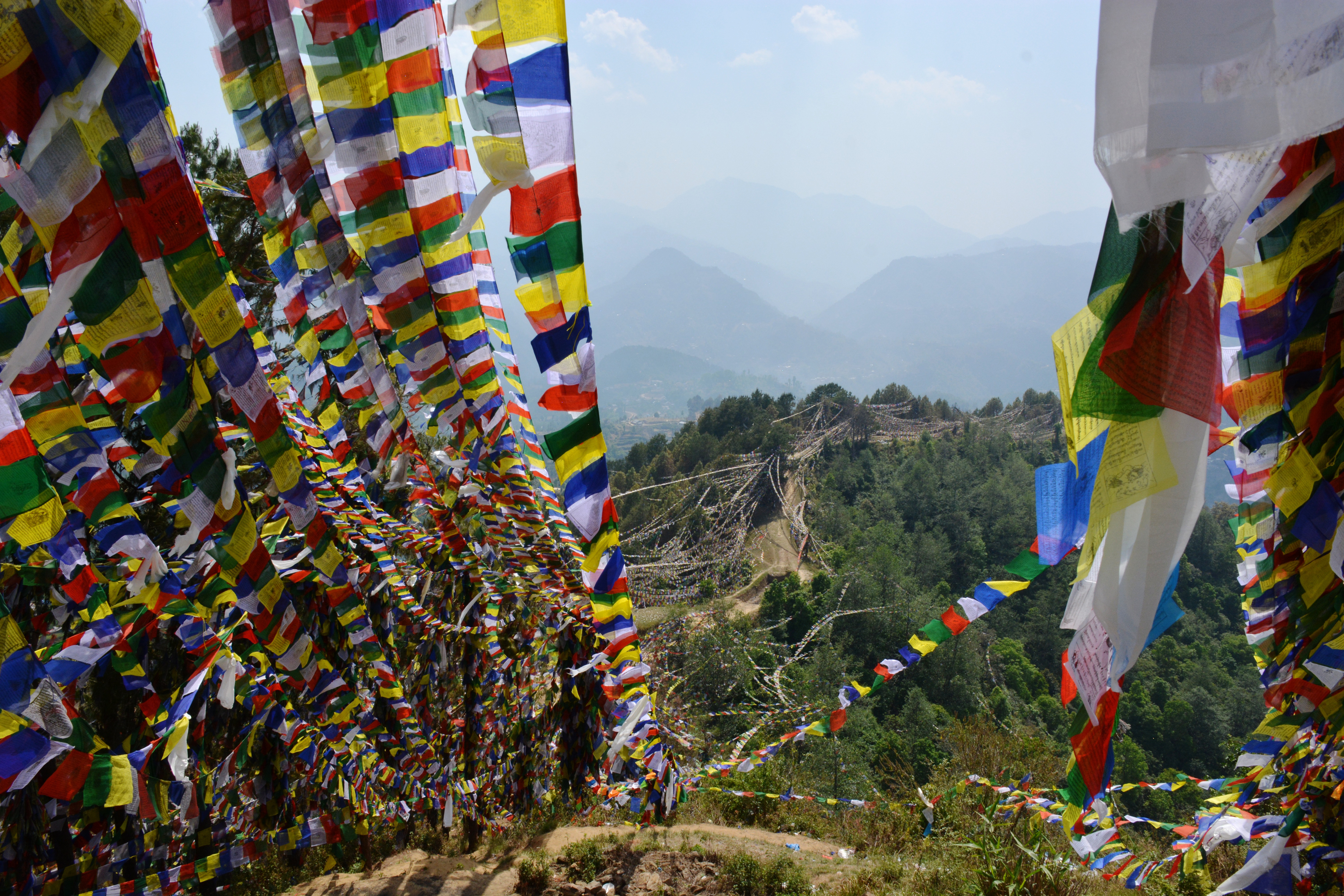 नमोबुद्ध जाने पदमार्ग