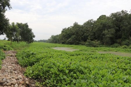 नेपालको प्याराताल भारतीयको  कब्जामा !