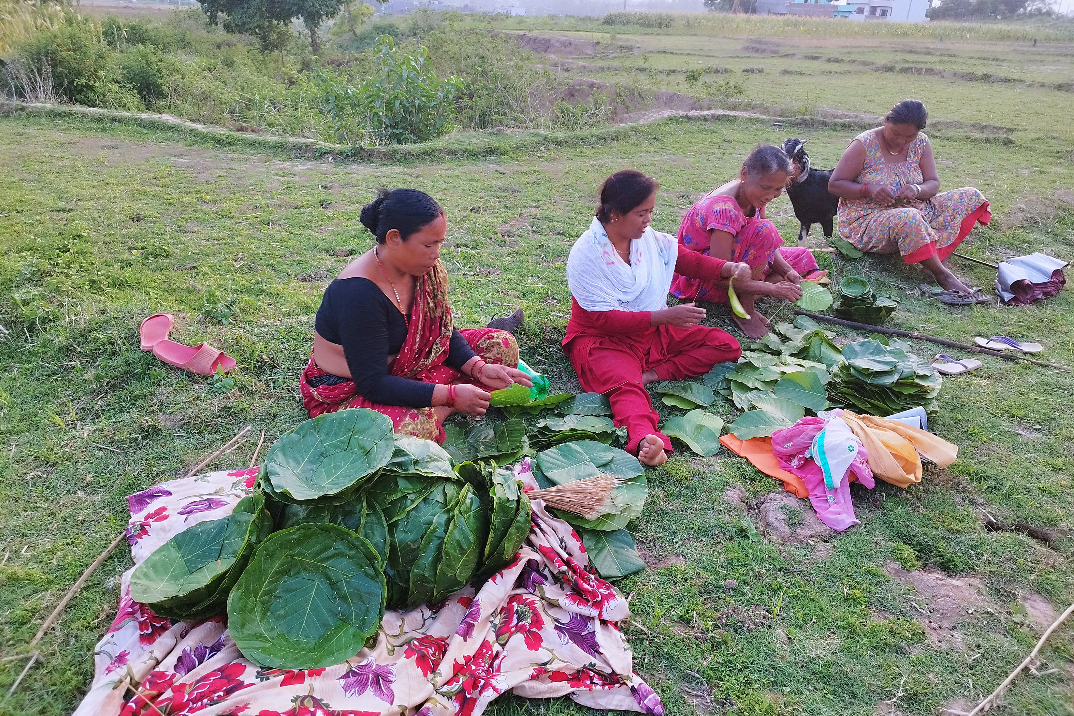 दुनाटपरी बनाइँदै