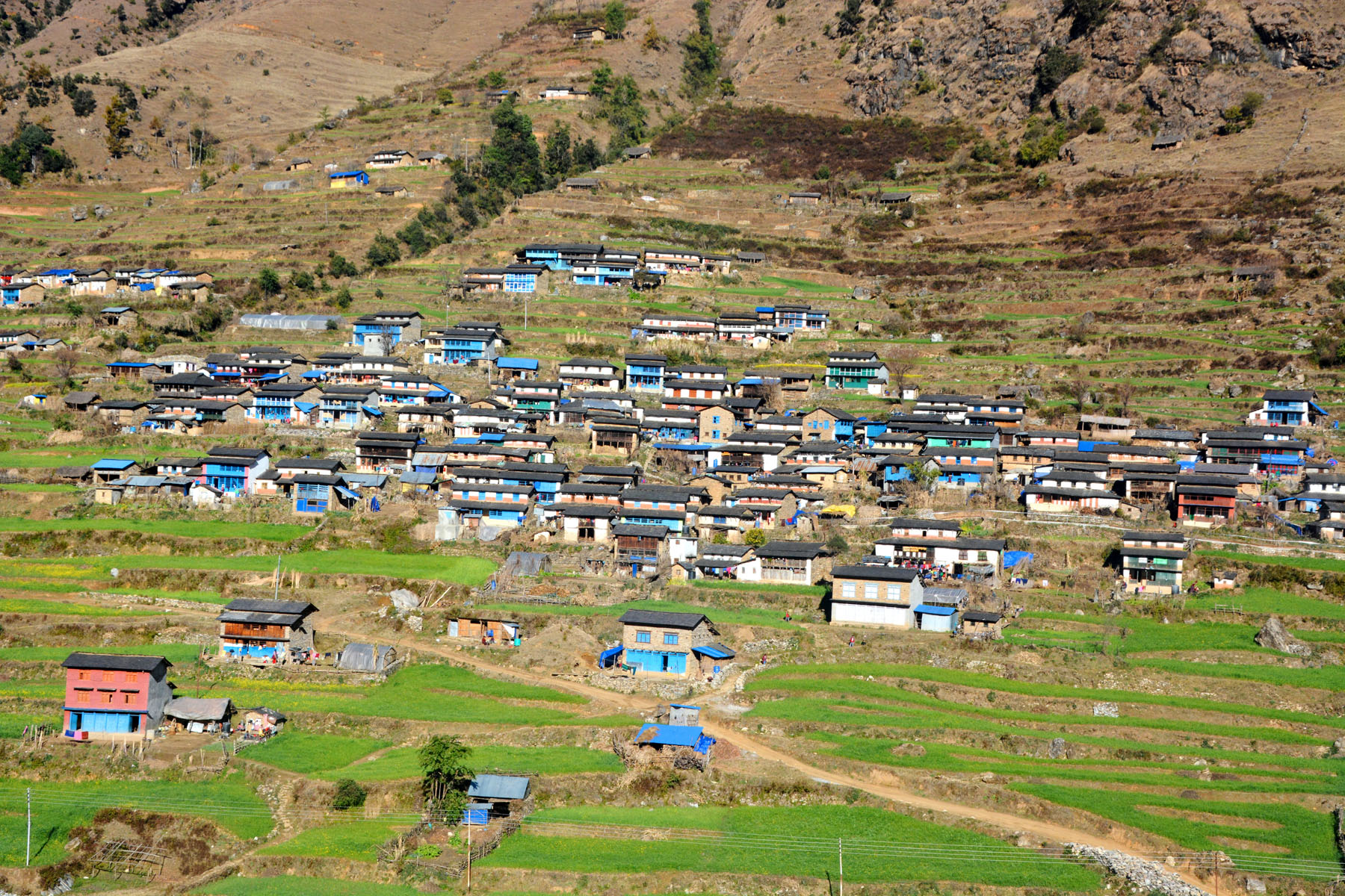 तमान गाउँ