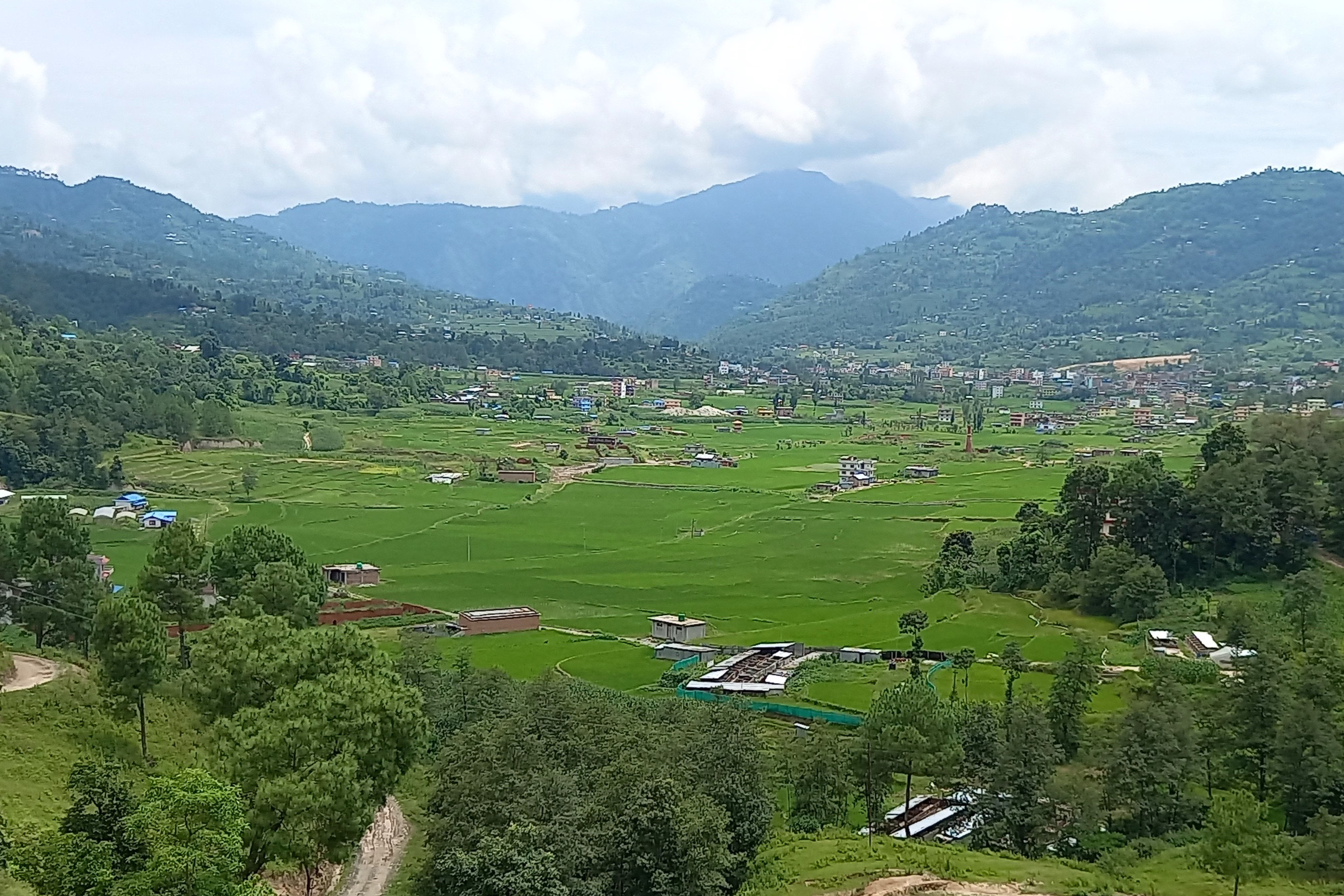 भकुण्डे फाँटमा धानबाली