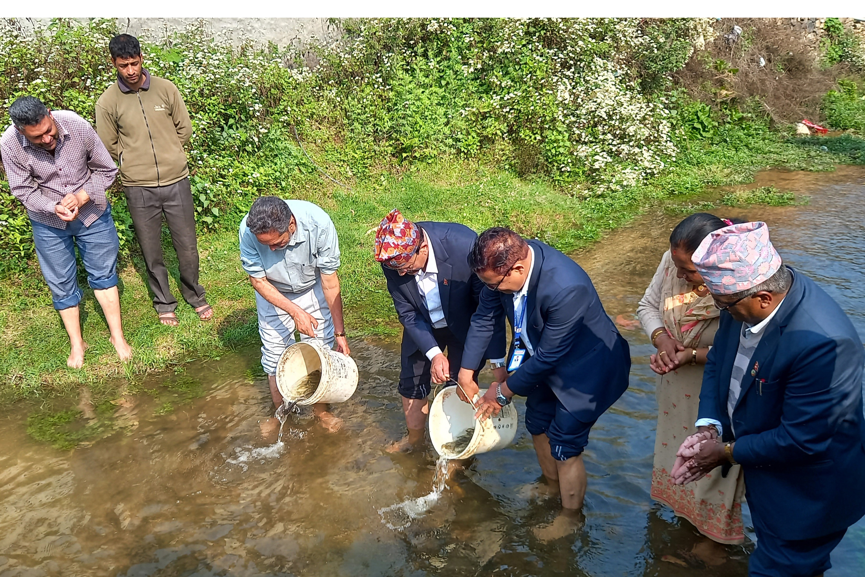 खोलामा माछाका भुरा छाड्दै