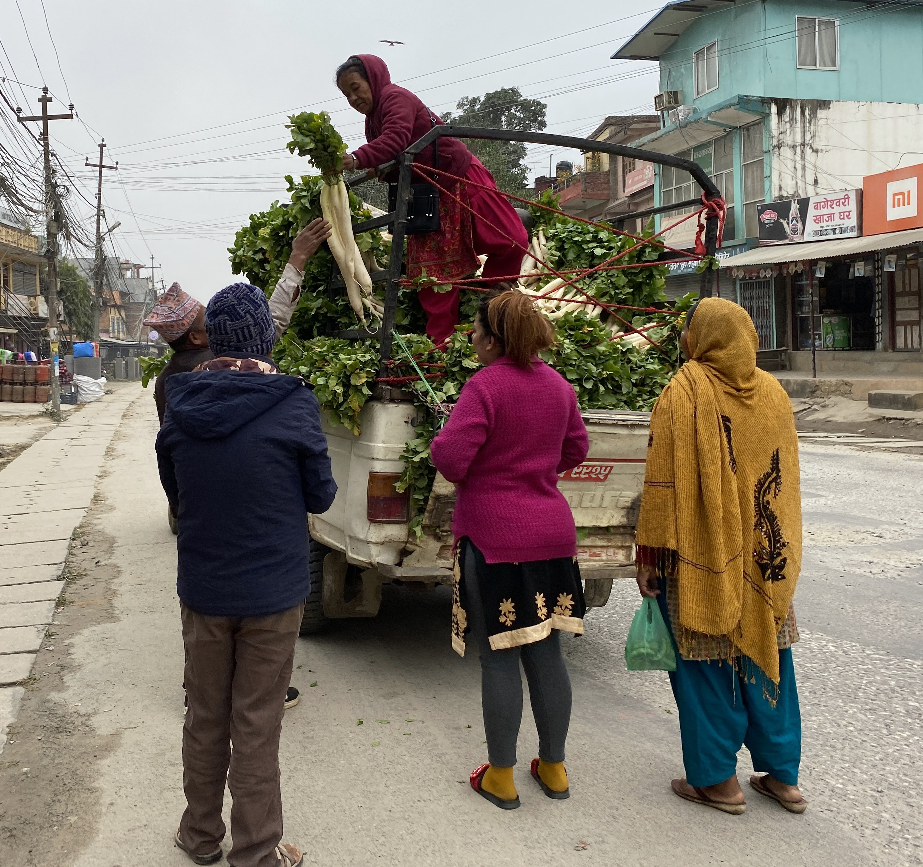 ककनीको मुला