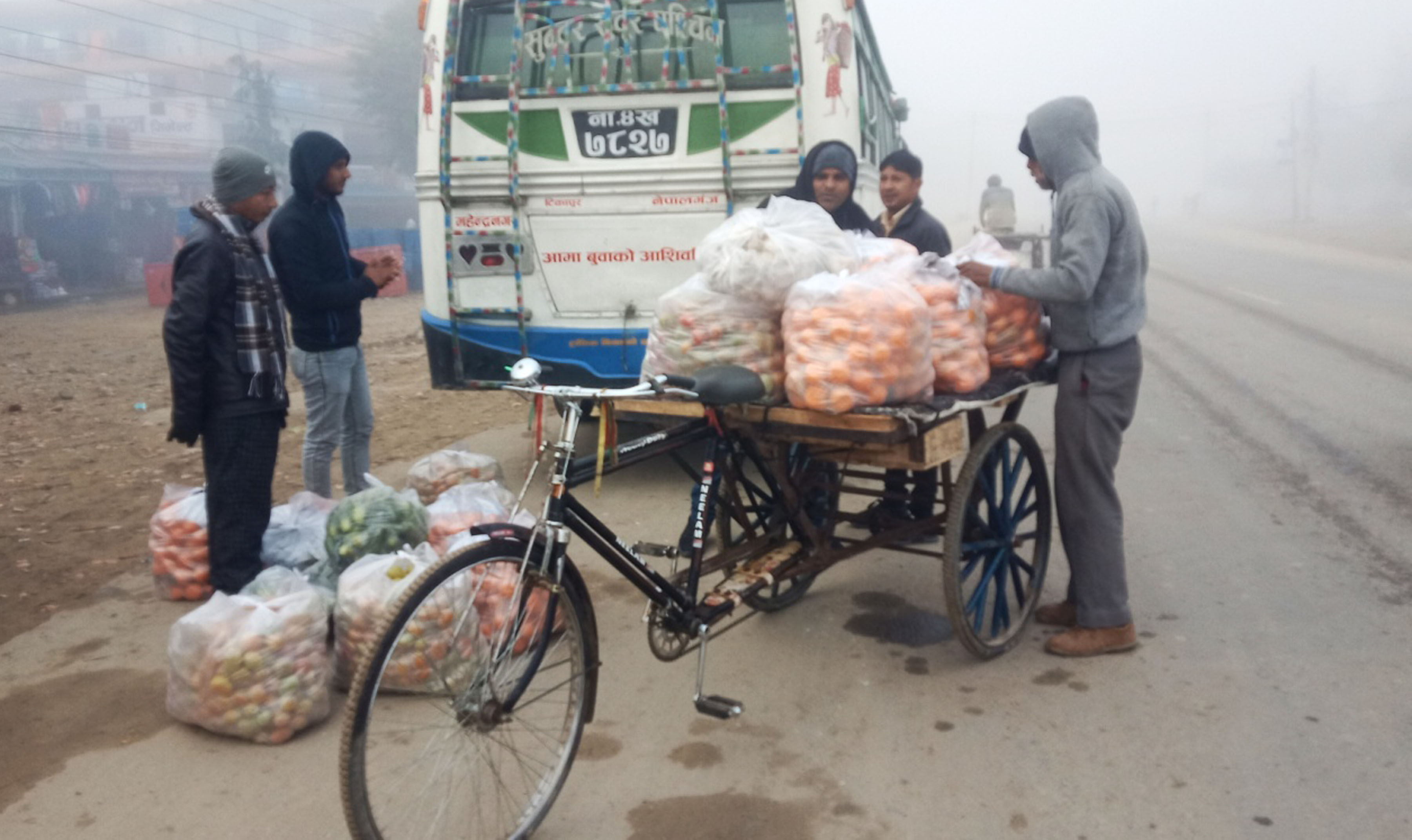 पहाडी क्षेत्रमा फलेका फलफूल बिक्रीका लागि लगिन्दै