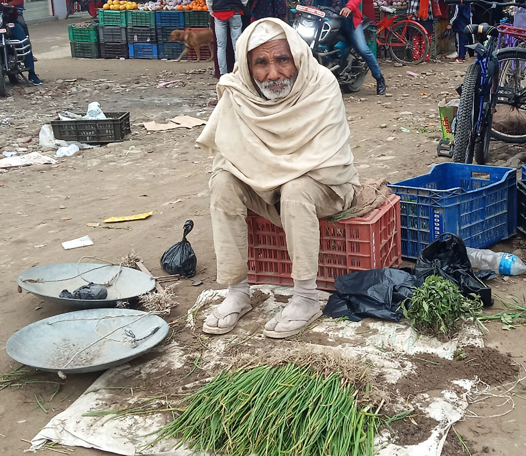 प्याजका बेर्ना बेच्दै जेष्ठ नागरिक