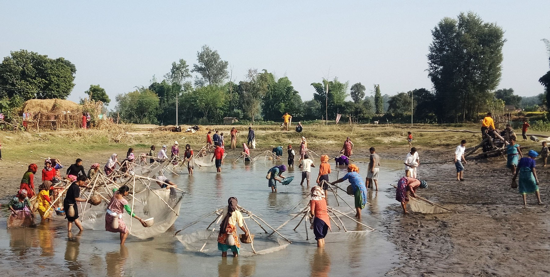 पोखरीमा माछा समाप्दै महिला