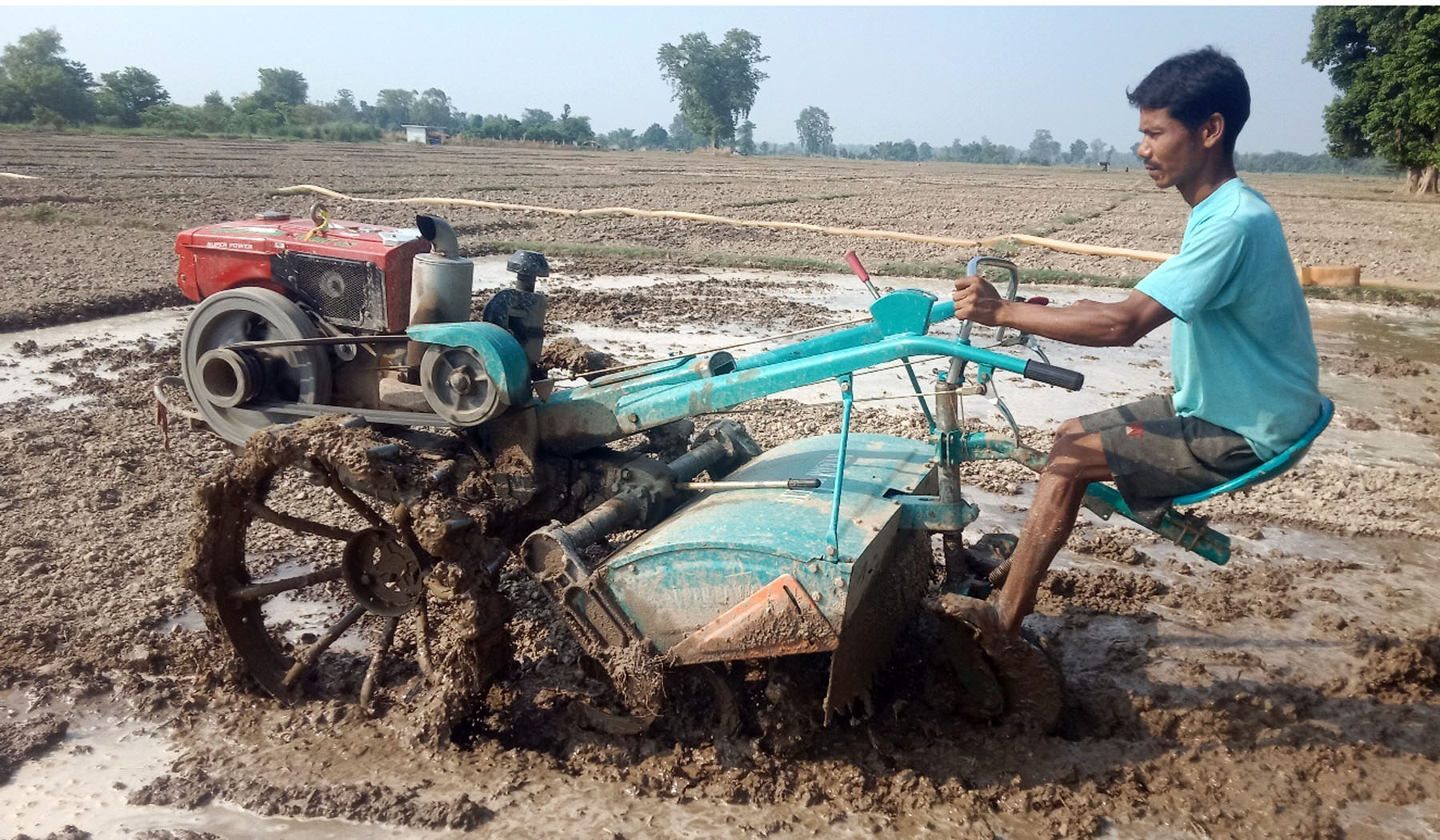 धान रोप्न पावर टिलरको सहायता