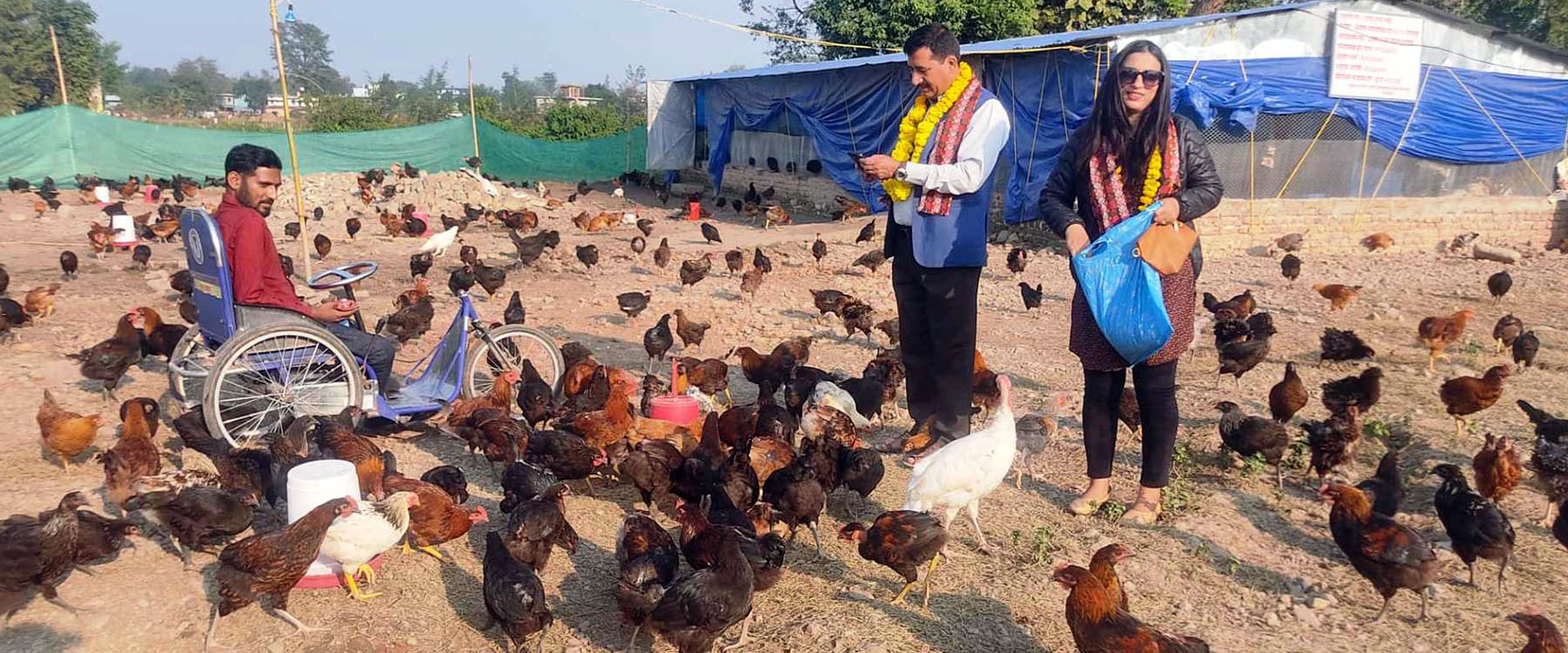 कुखुरा फार्म अवलोकन गर्दै नगर प्रमुख विष्ट