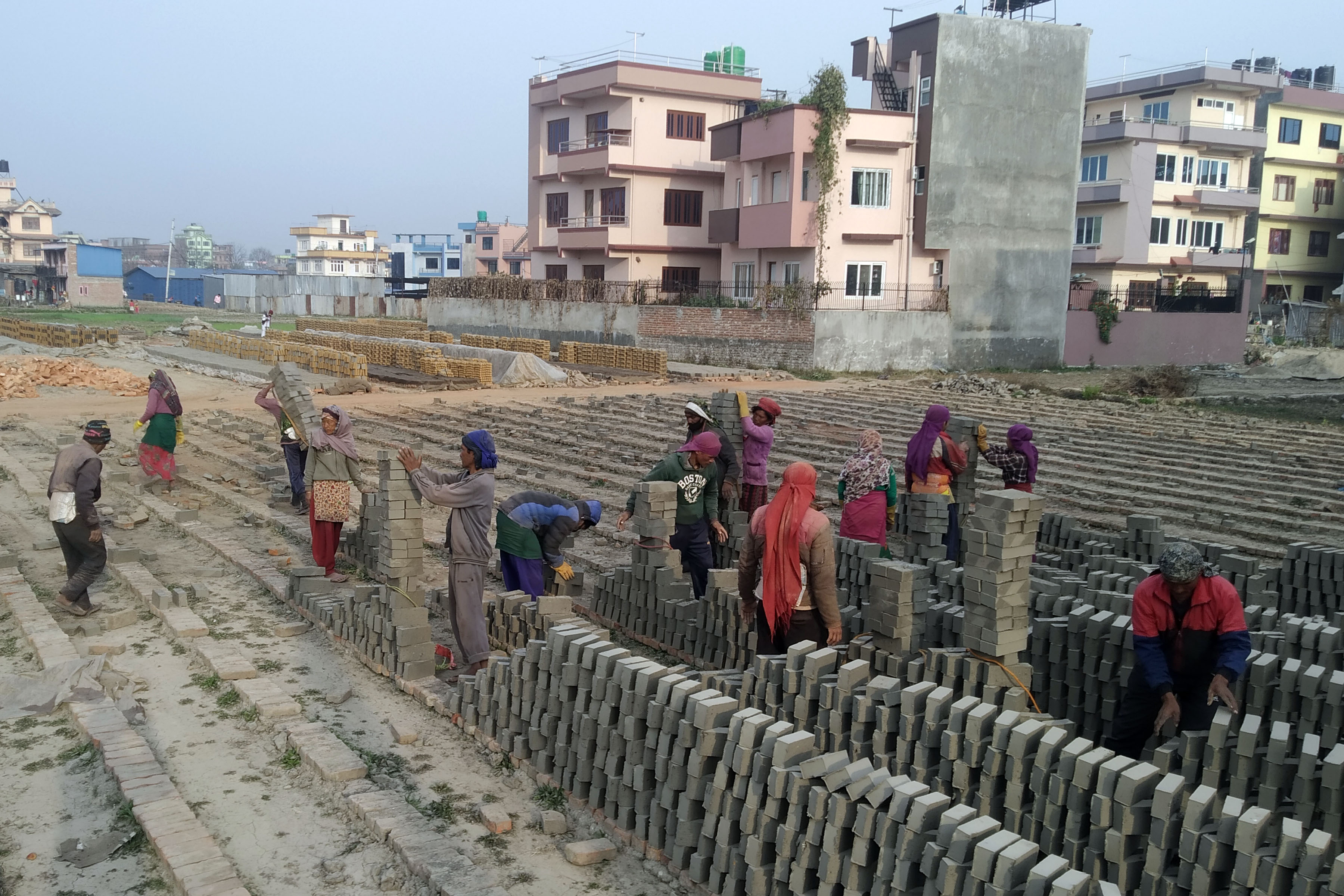 काँचो इँट्टा भट्टामा ओसार्दै मजदुर