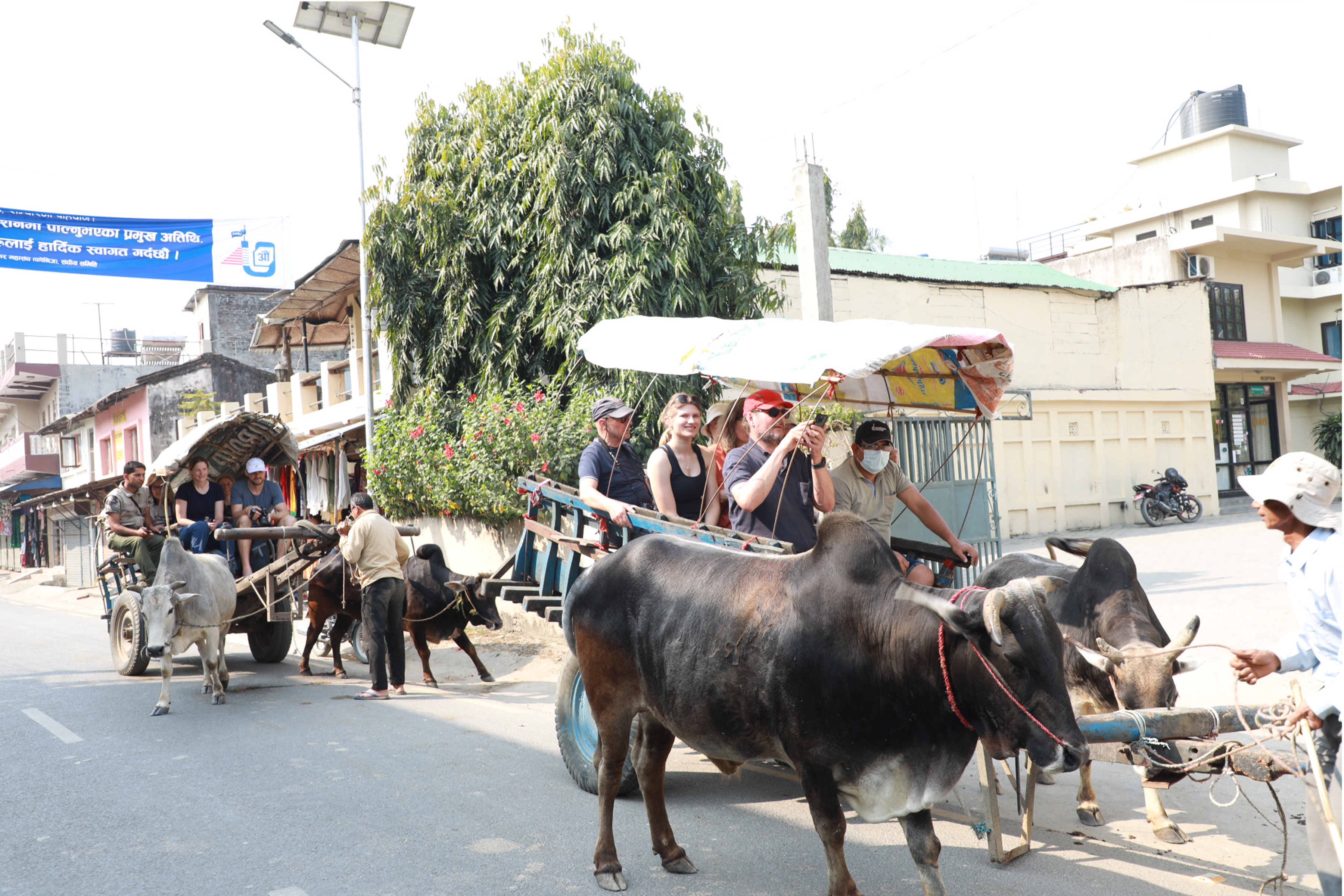 गोरूगाडामा सौराह घुम्दै पर्यटक