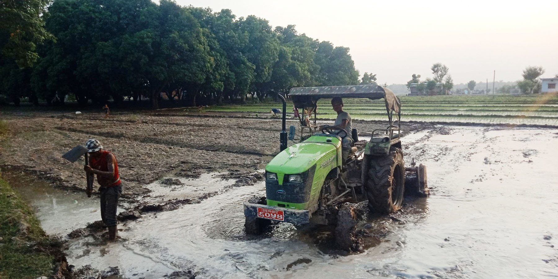रोपाइँका लागि ट्याक्टरको सहायता