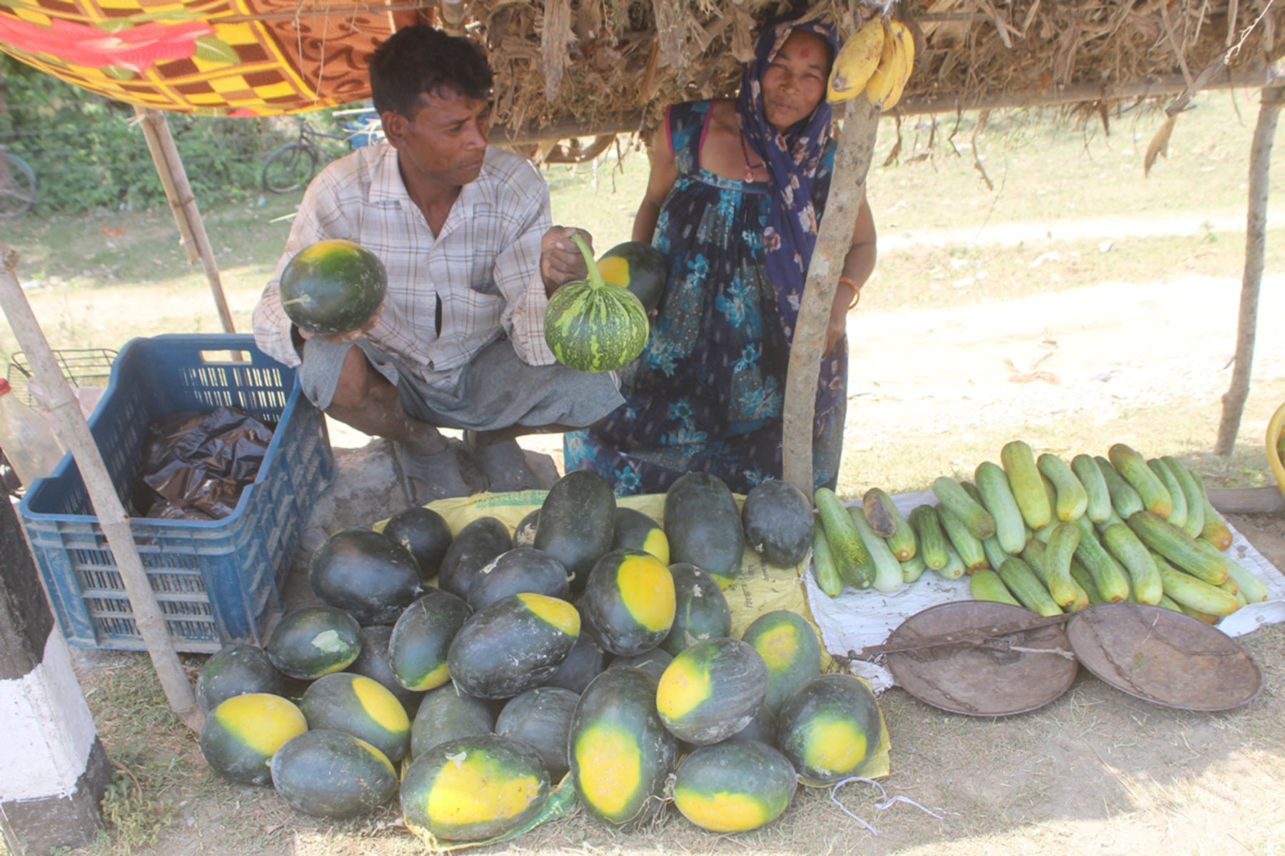 तरभूजा बेच्दै मुक्त कमैया दम्पती