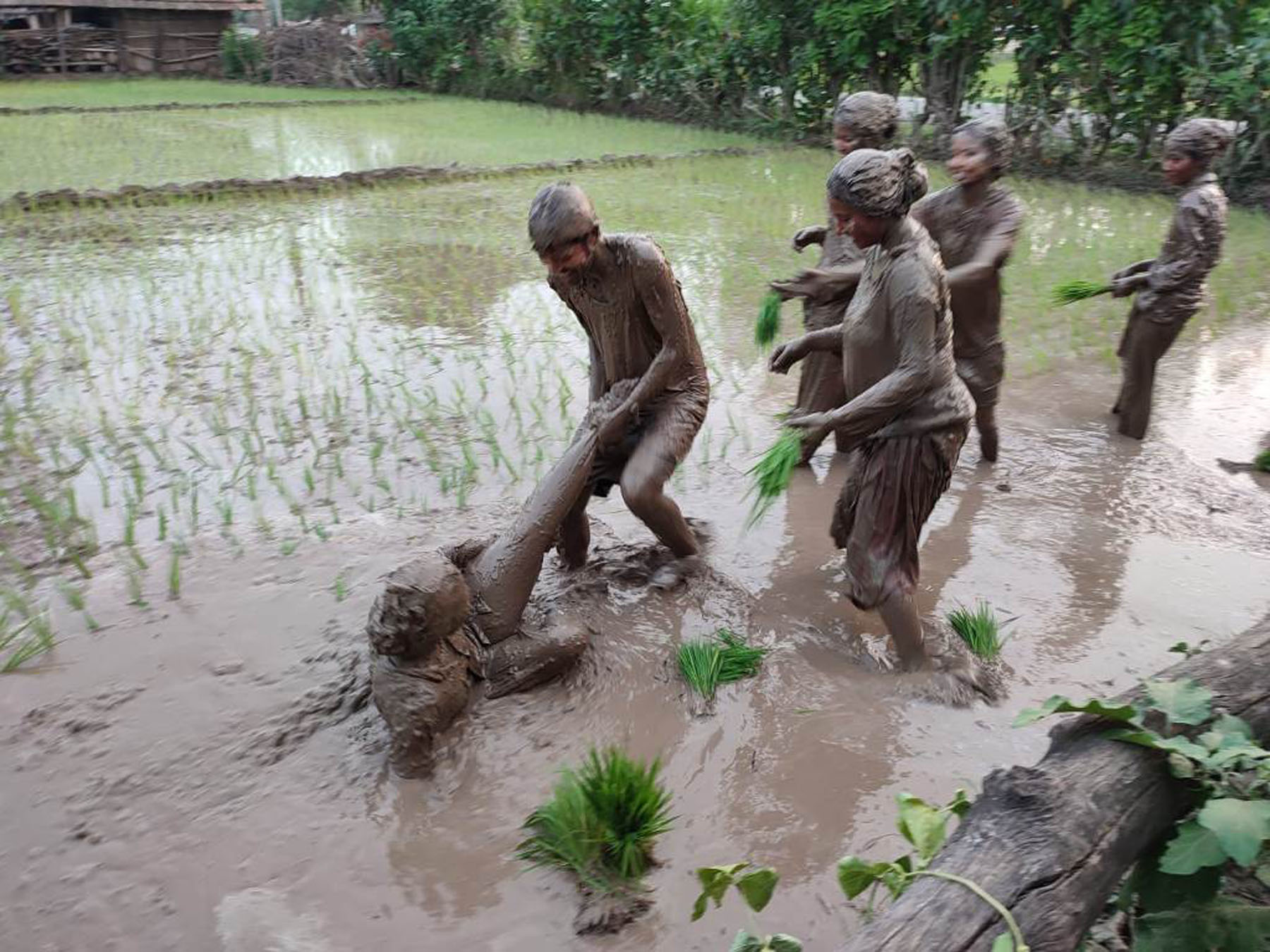 रोपाइँ गर्दै युवक युवती