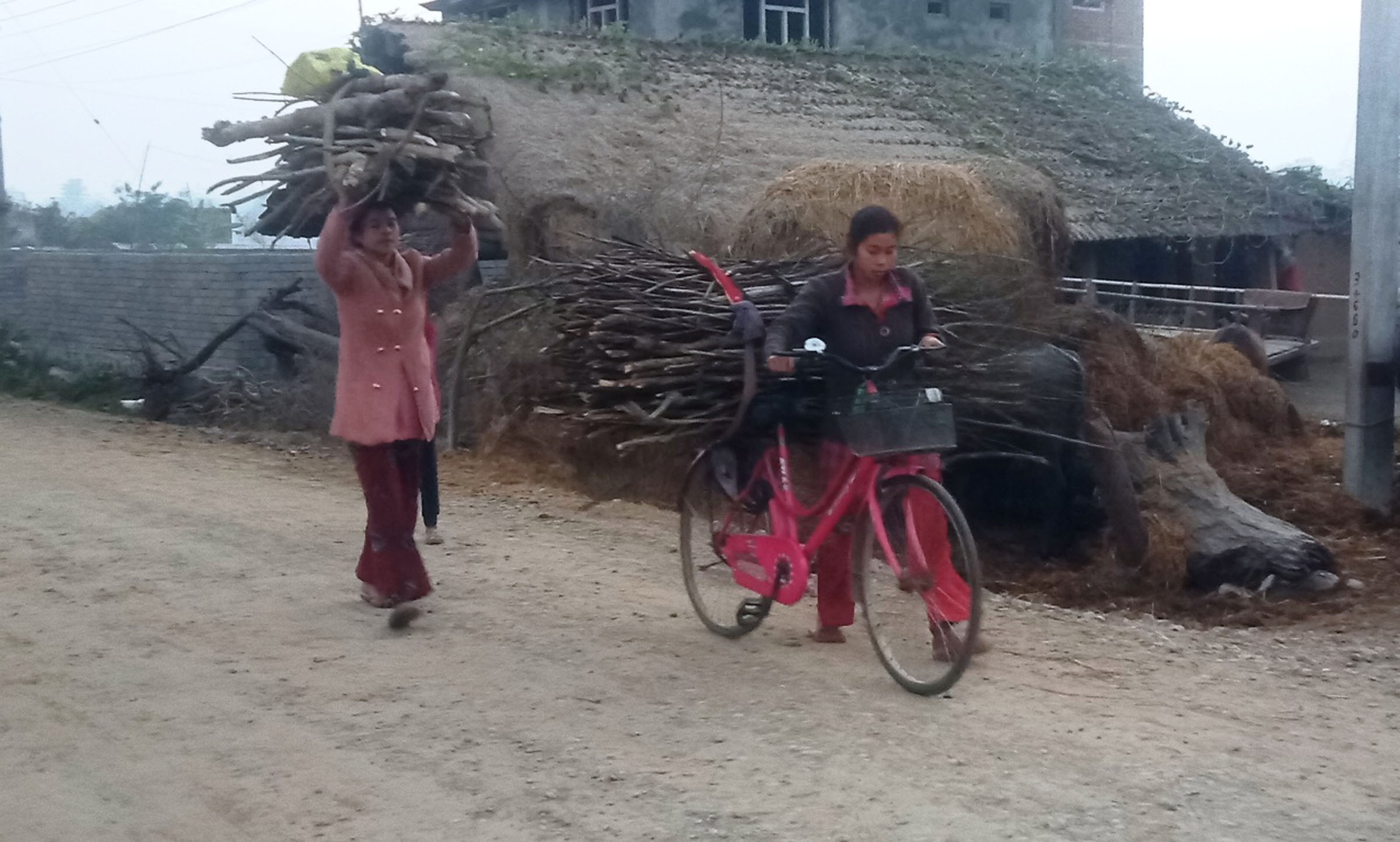 दाउरा ल्याउँदै गरेका युवती