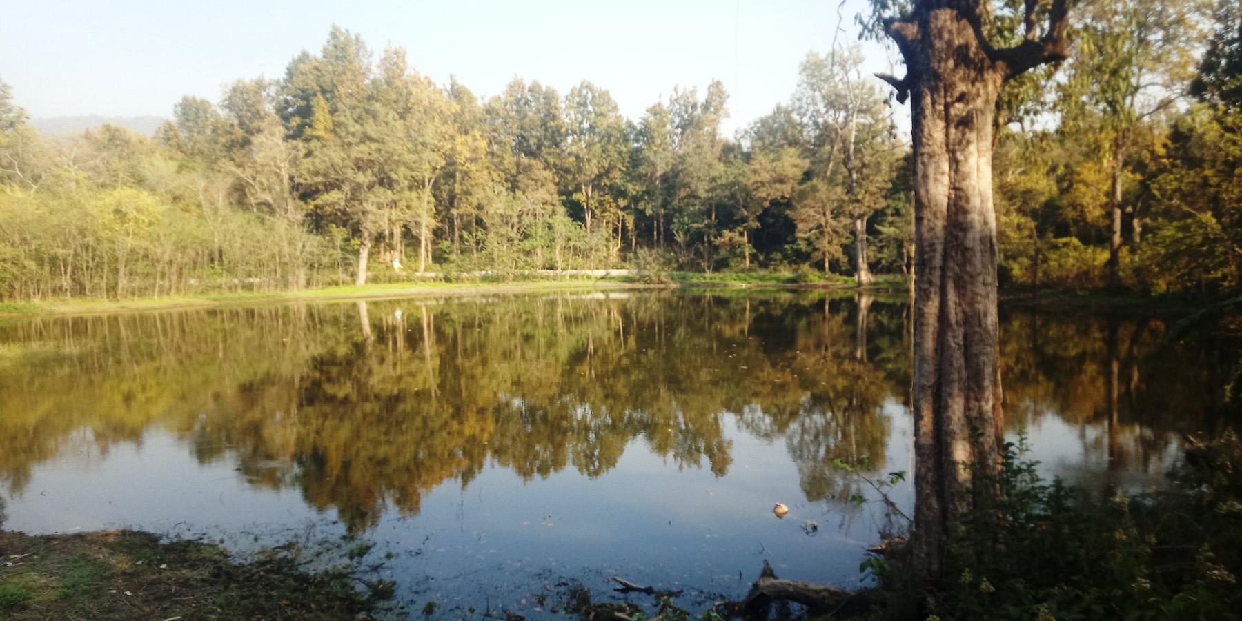 पुरिँदै जान थालेको ताल