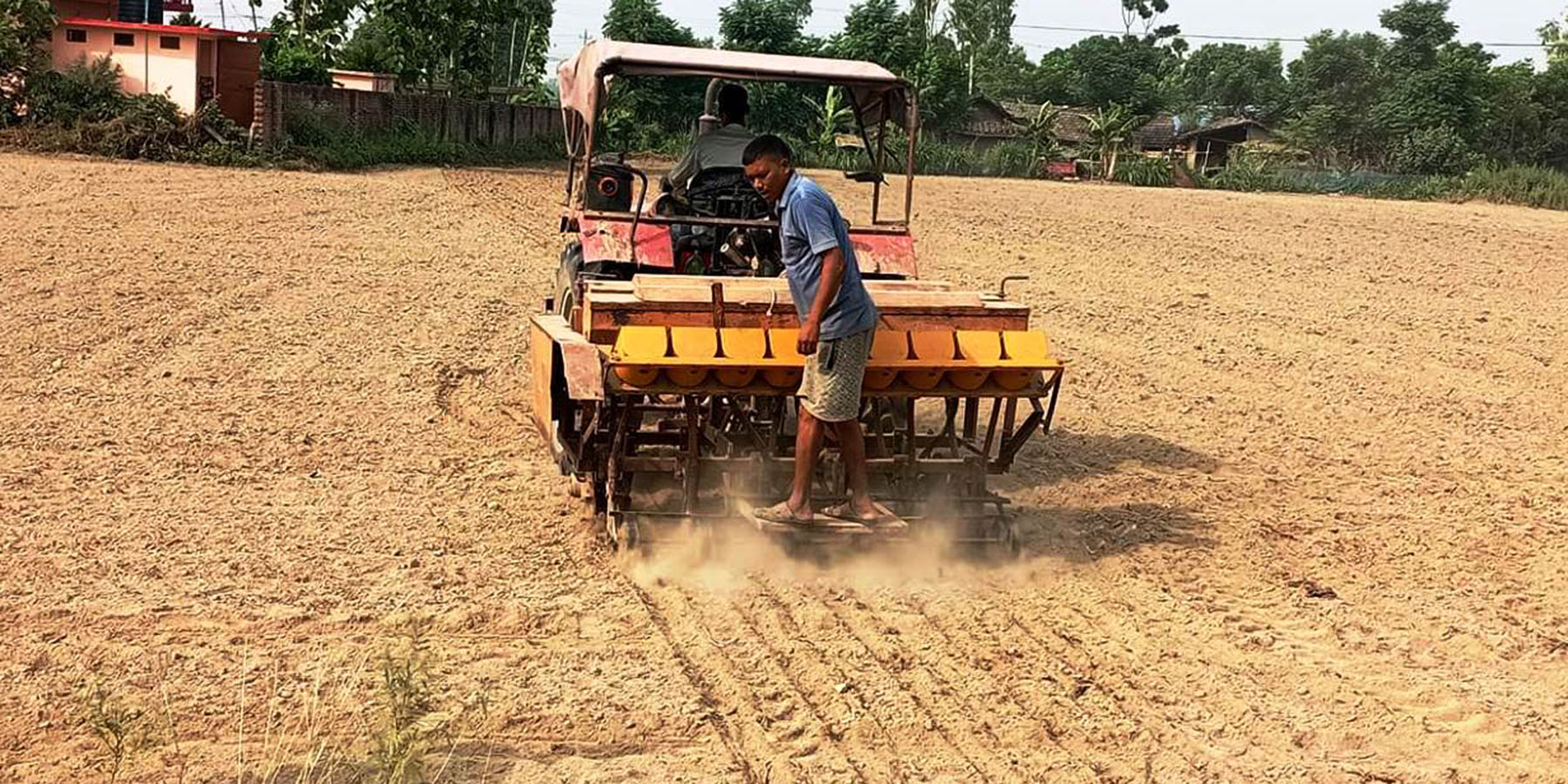 छरुवा प्रविधिको प्रयोग गरी किसान खेतमा धान छर्दै