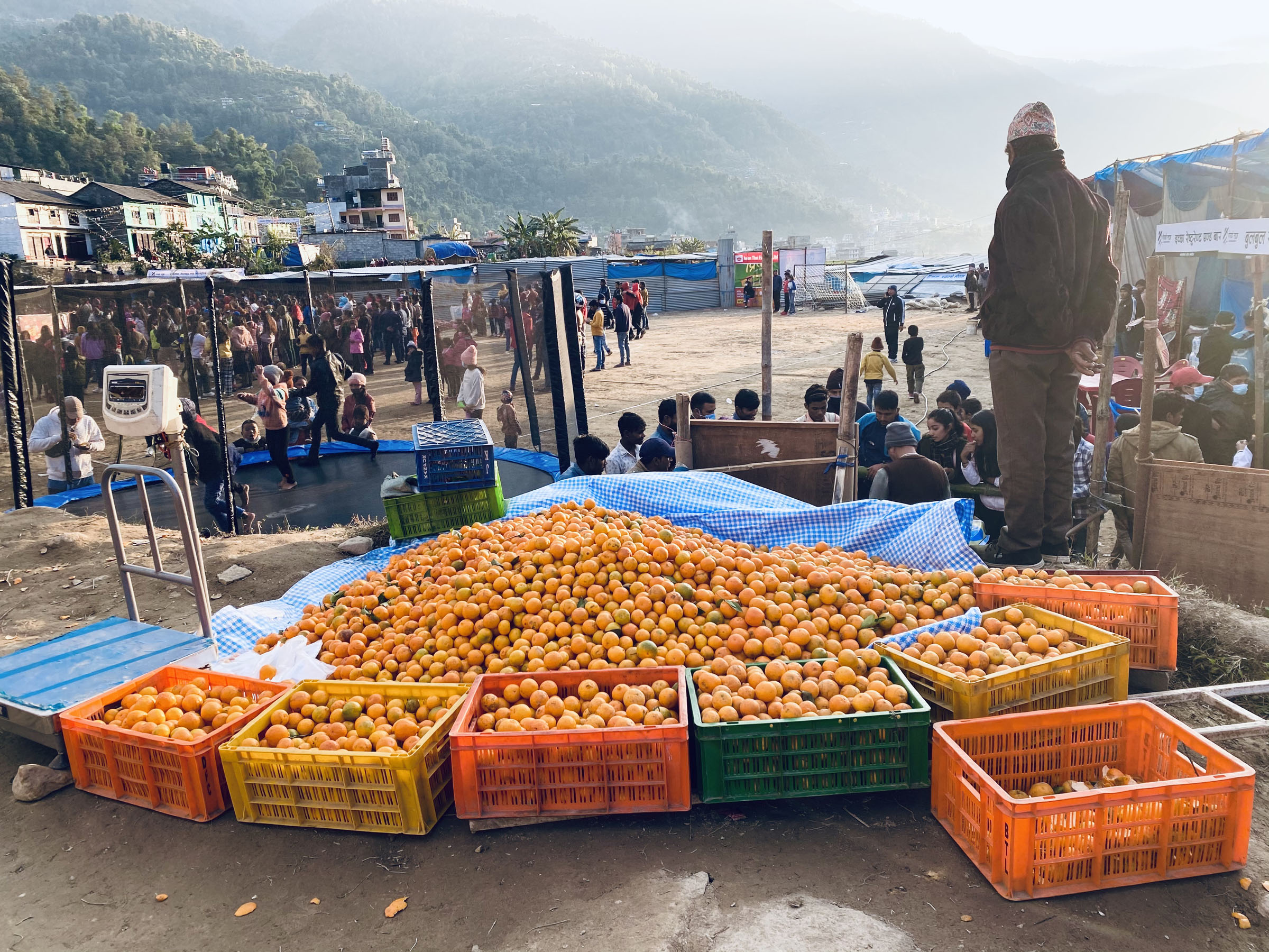 बिक्रीका लागि राखिएको सुन्तला