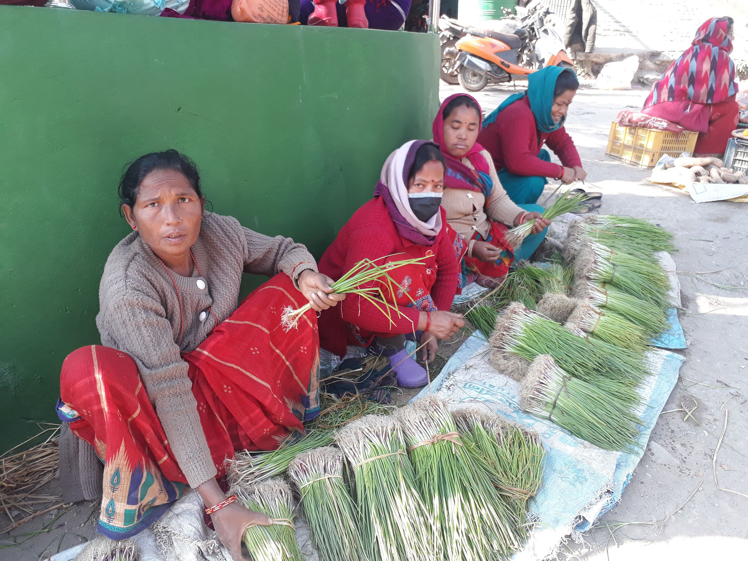 प्याजका बेर्ना बिक्री गर्दै किसान