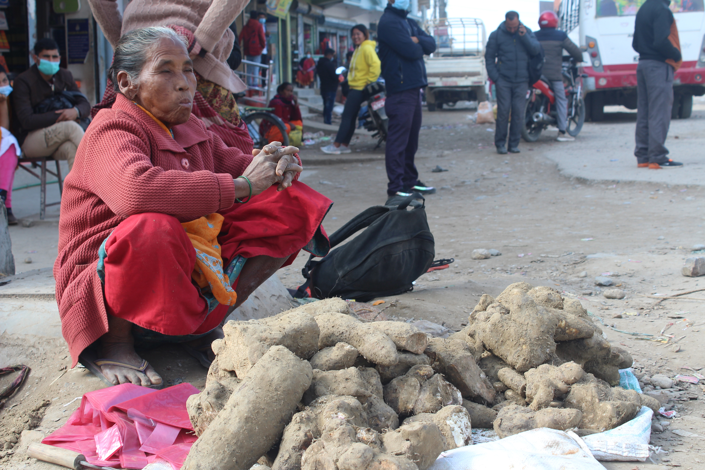 माघी पर्वका लागि तरुल बिक्री